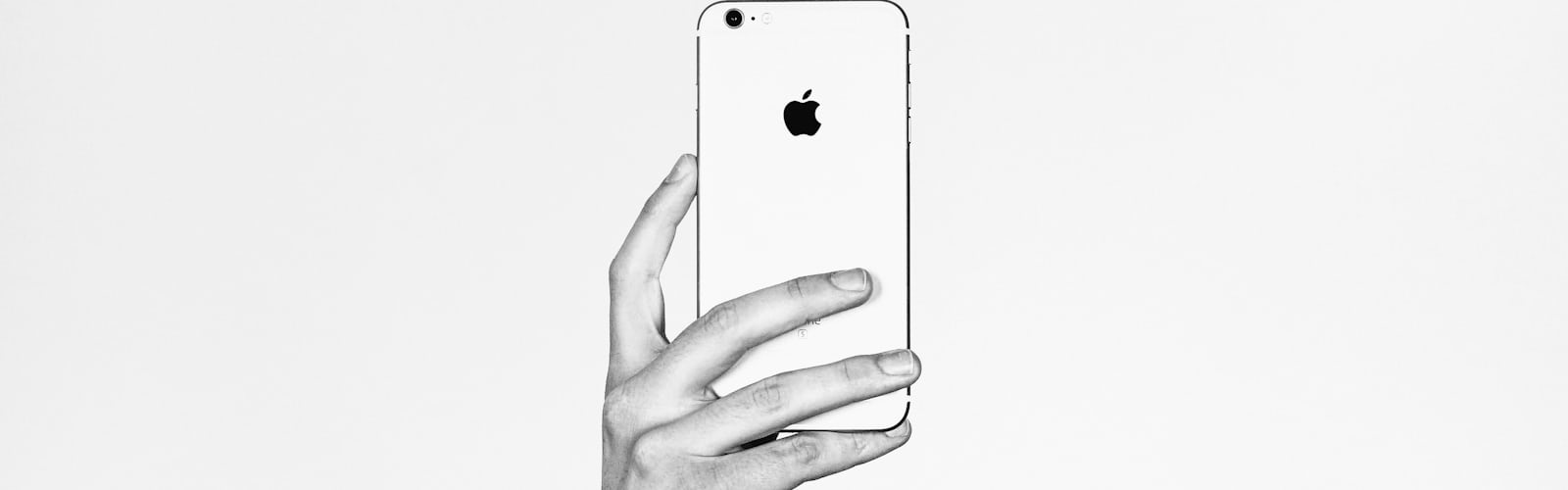 Dogwood | 1 best free dogwood, minimalist and wallpaper photos on Unsplash