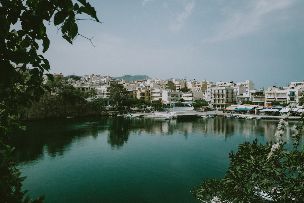 buildings near body of water during day