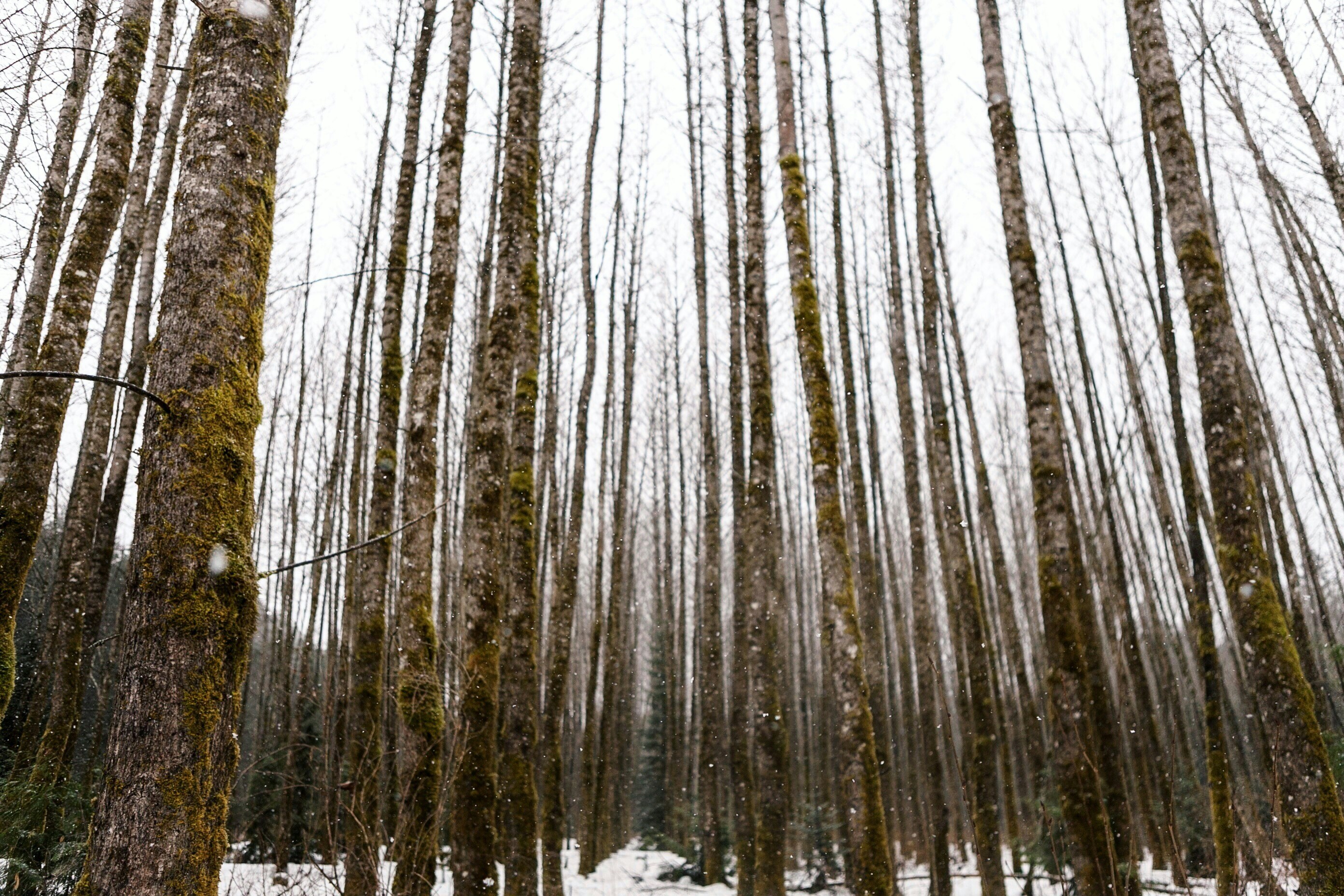 Free Unsplash photo from Megan  Lewis