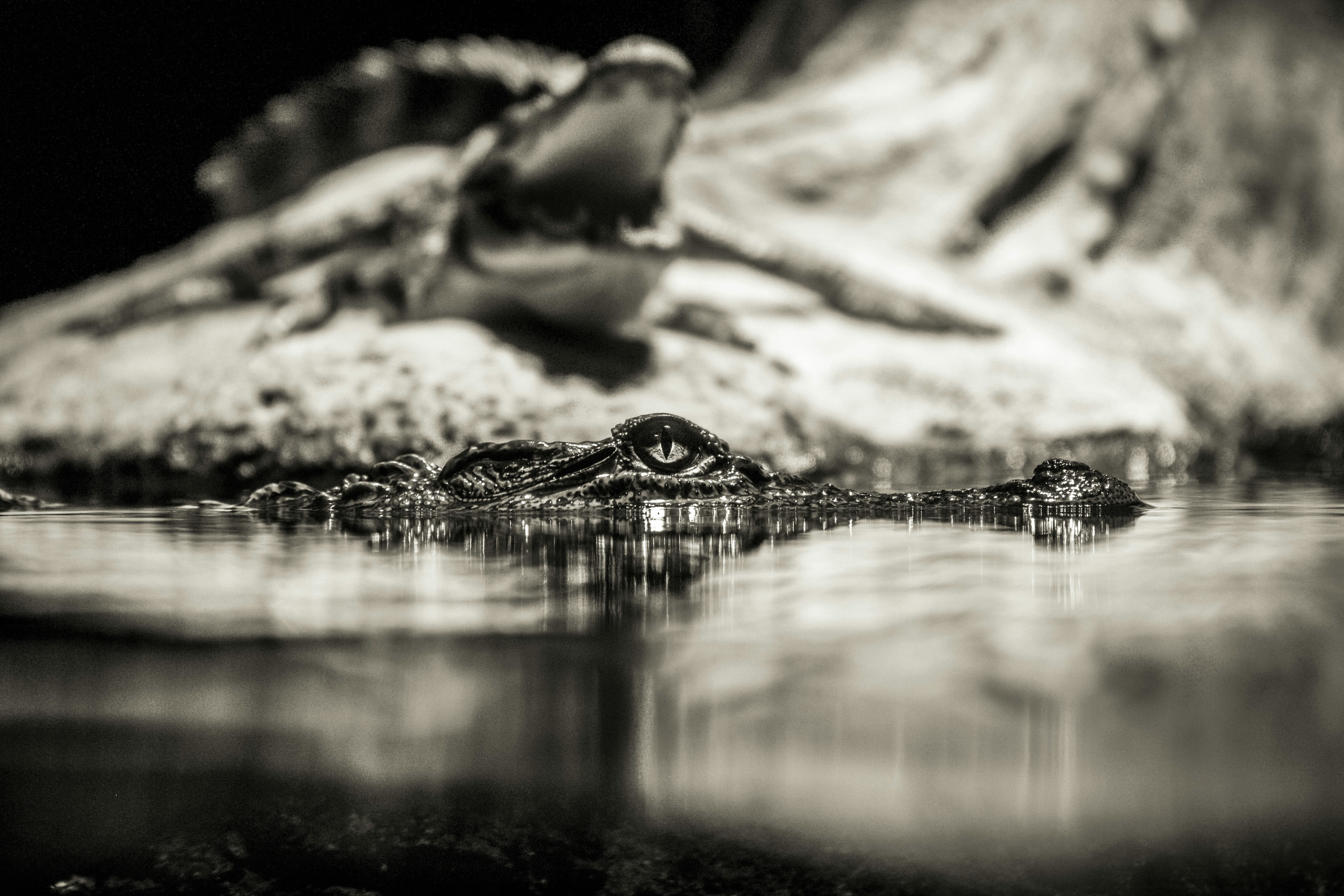 Free Unsplash photo from Jon Barthell