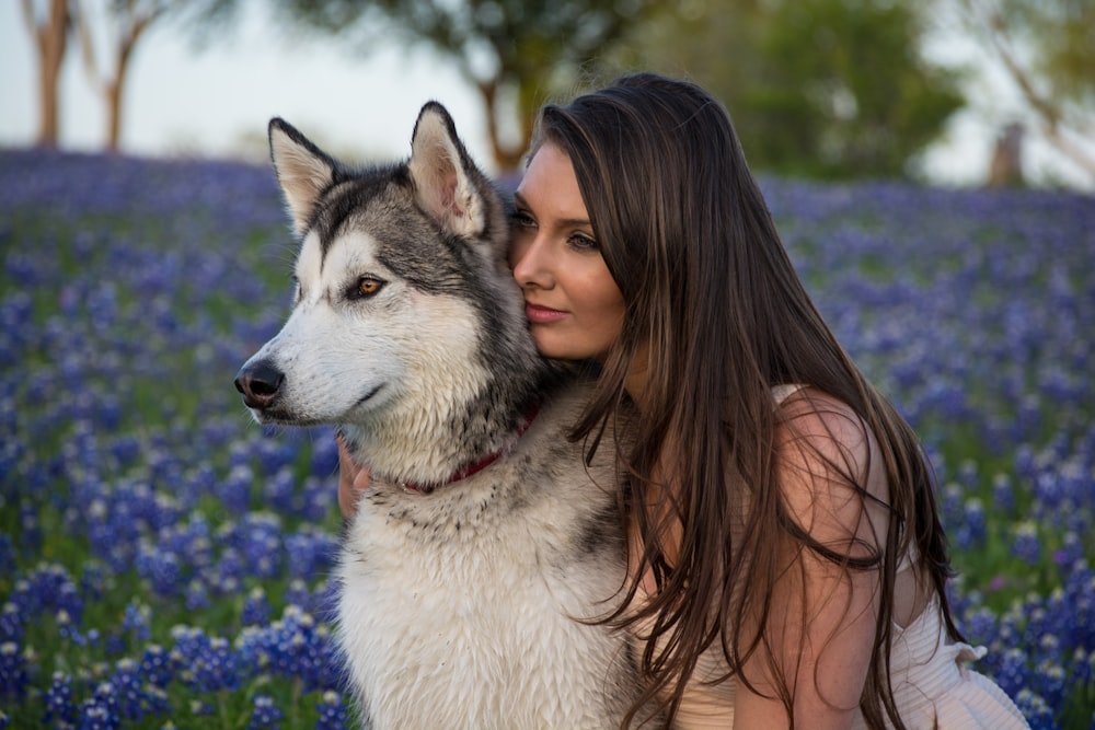 femme à côté d’un husky sibérien blanc et noir avec des fleurs violettes