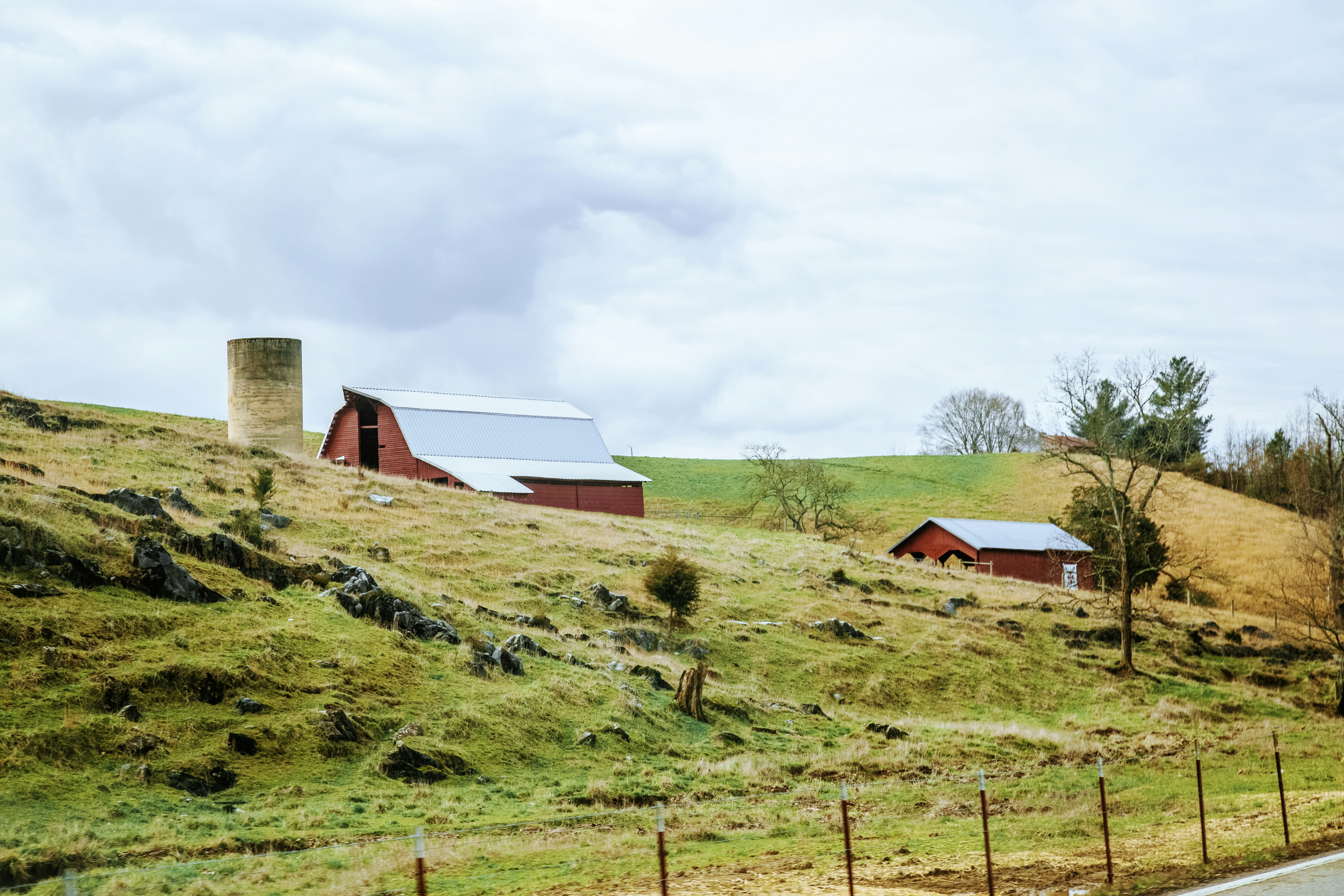 Free Unsplash photo from William Recinos