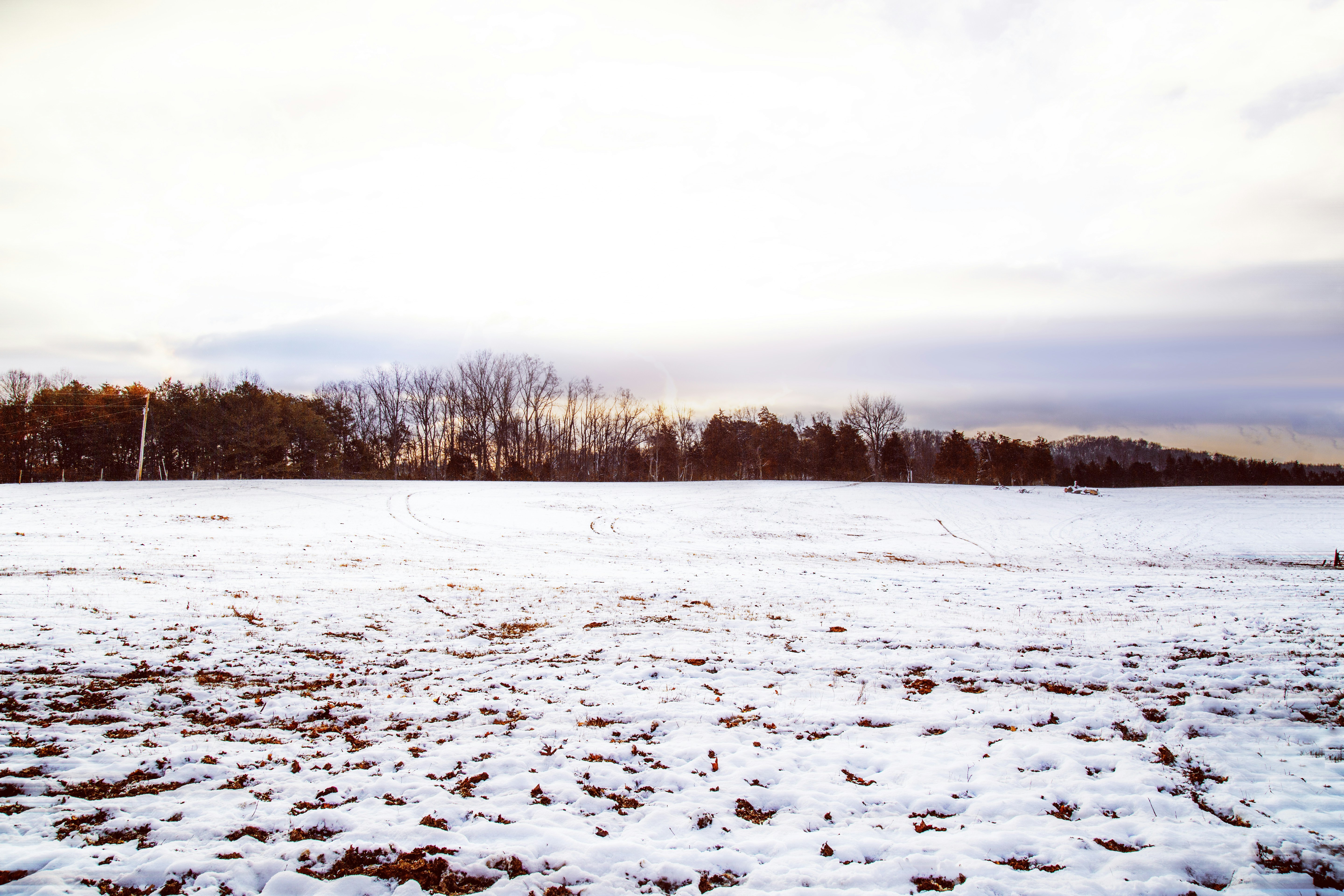 Free Unsplash photo from William Recinos