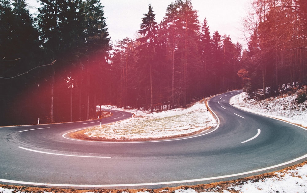 curved concrete road with trees on the side