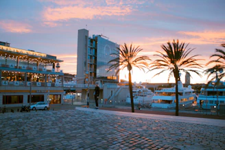 green palm trees near building during golden hour