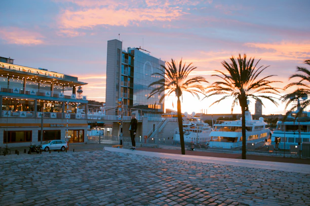 green palm trees near building during golden hour