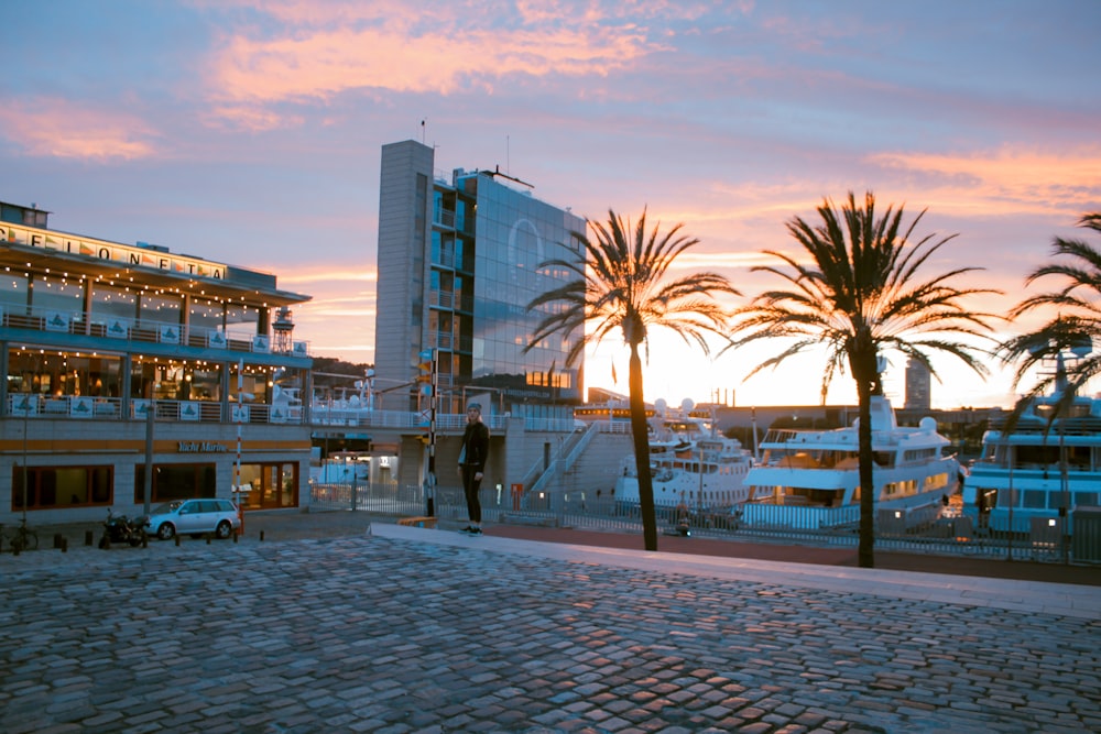 green palm trees near building during golden hour