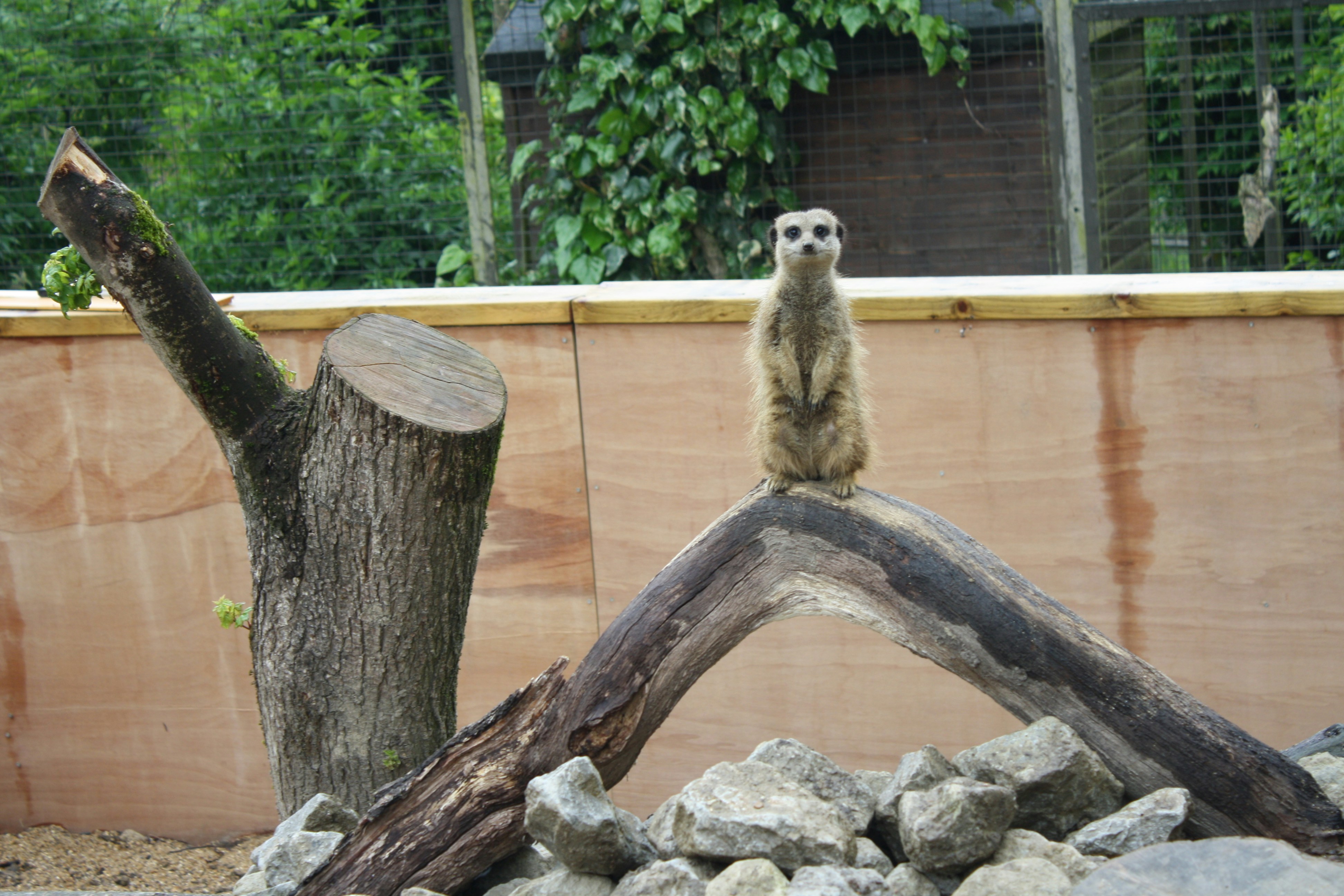 Free Unsplash photo from Charlie Seaman