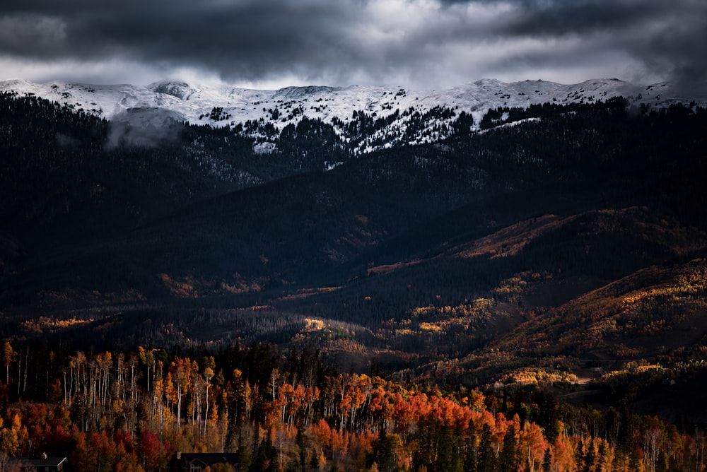 mountains with snow