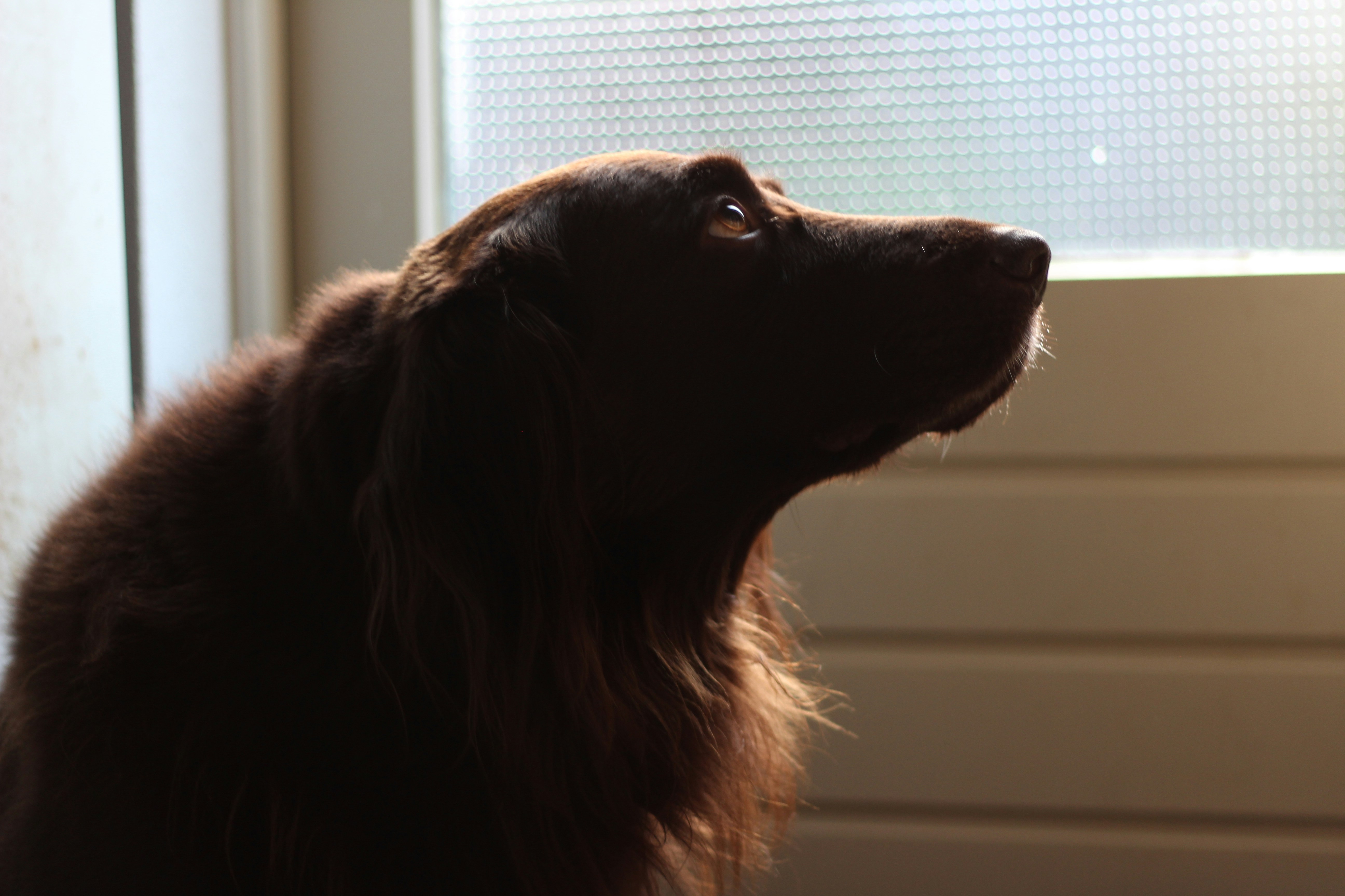 Free Unsplash photo from Sven Huls