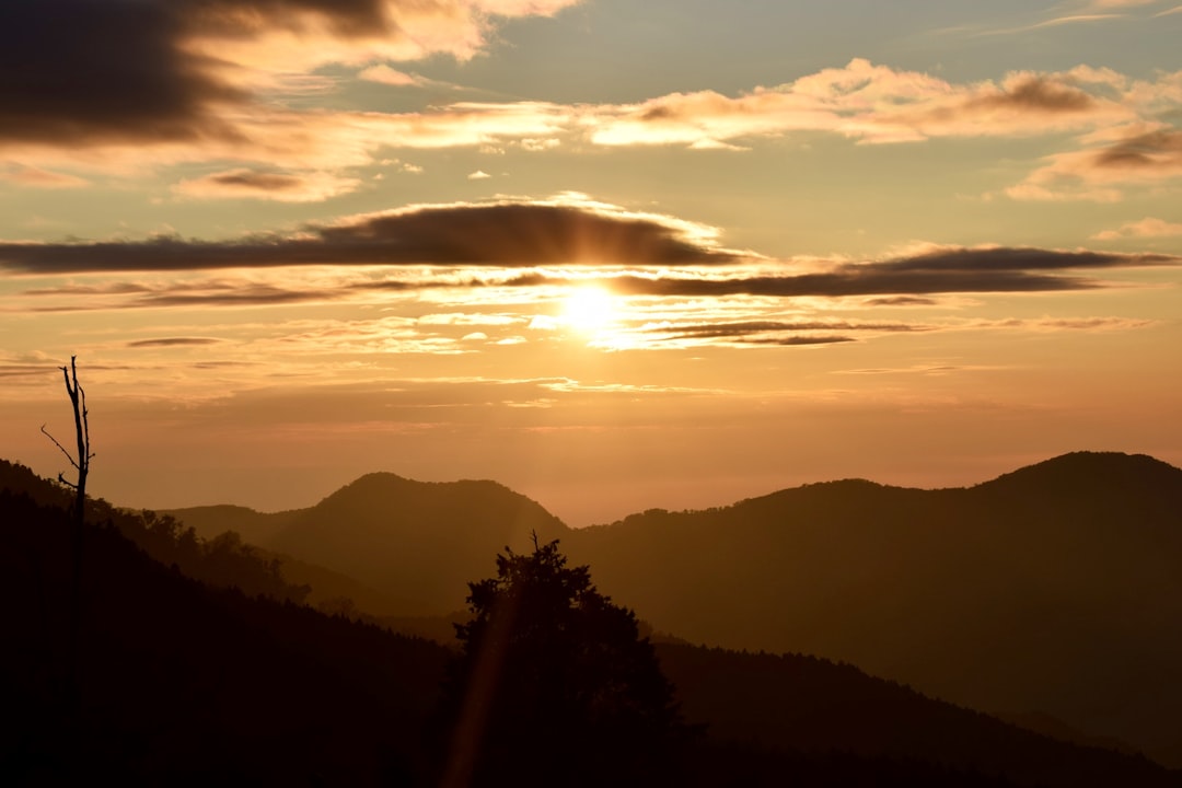 Highland photo spot Alishan National Forest Recreation Area Sun Moon Lake