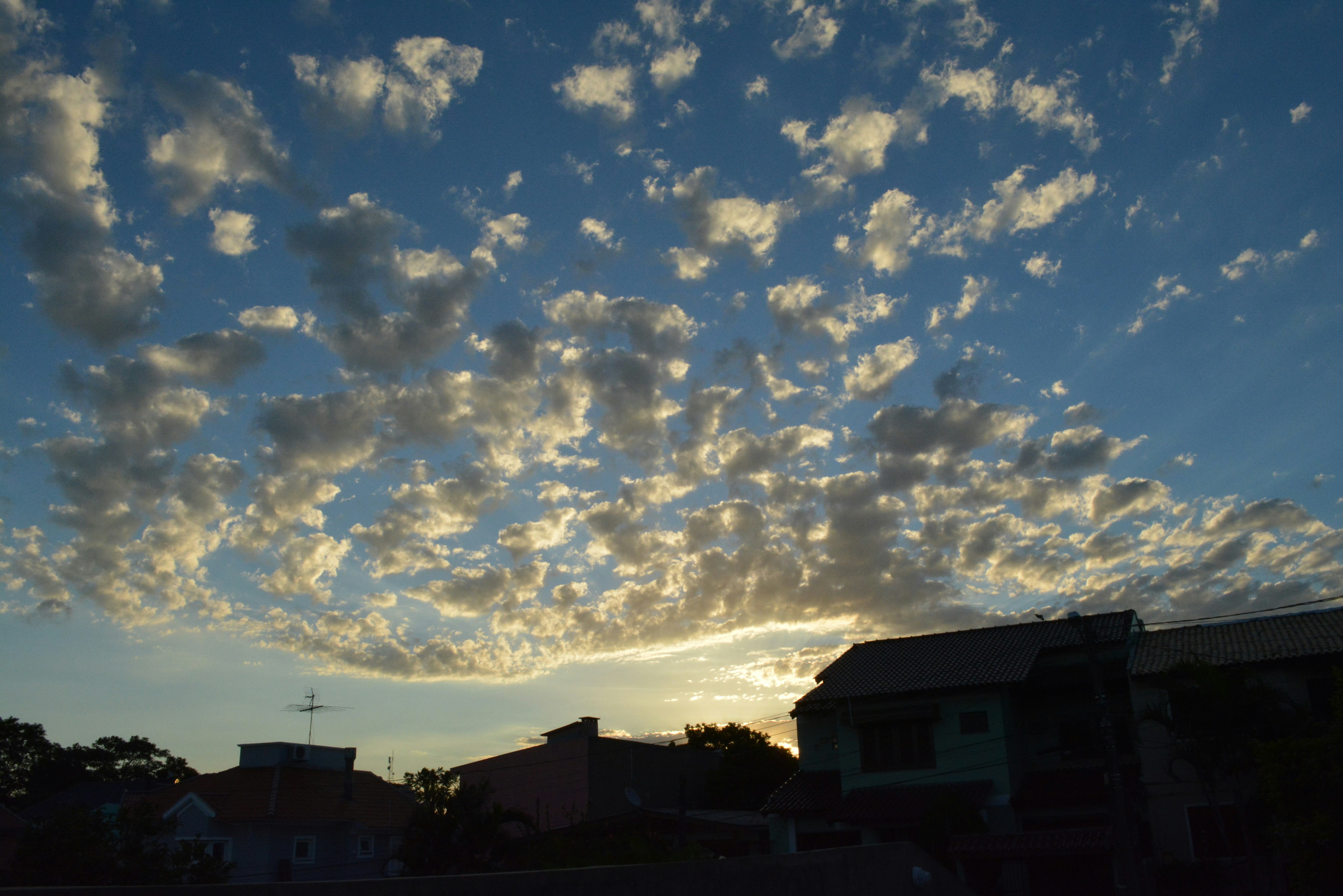 Free Unsplash photo from Gustavo Tedesco