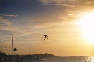 A scenic view of a protected wetland area with birds flying overhead at sunset