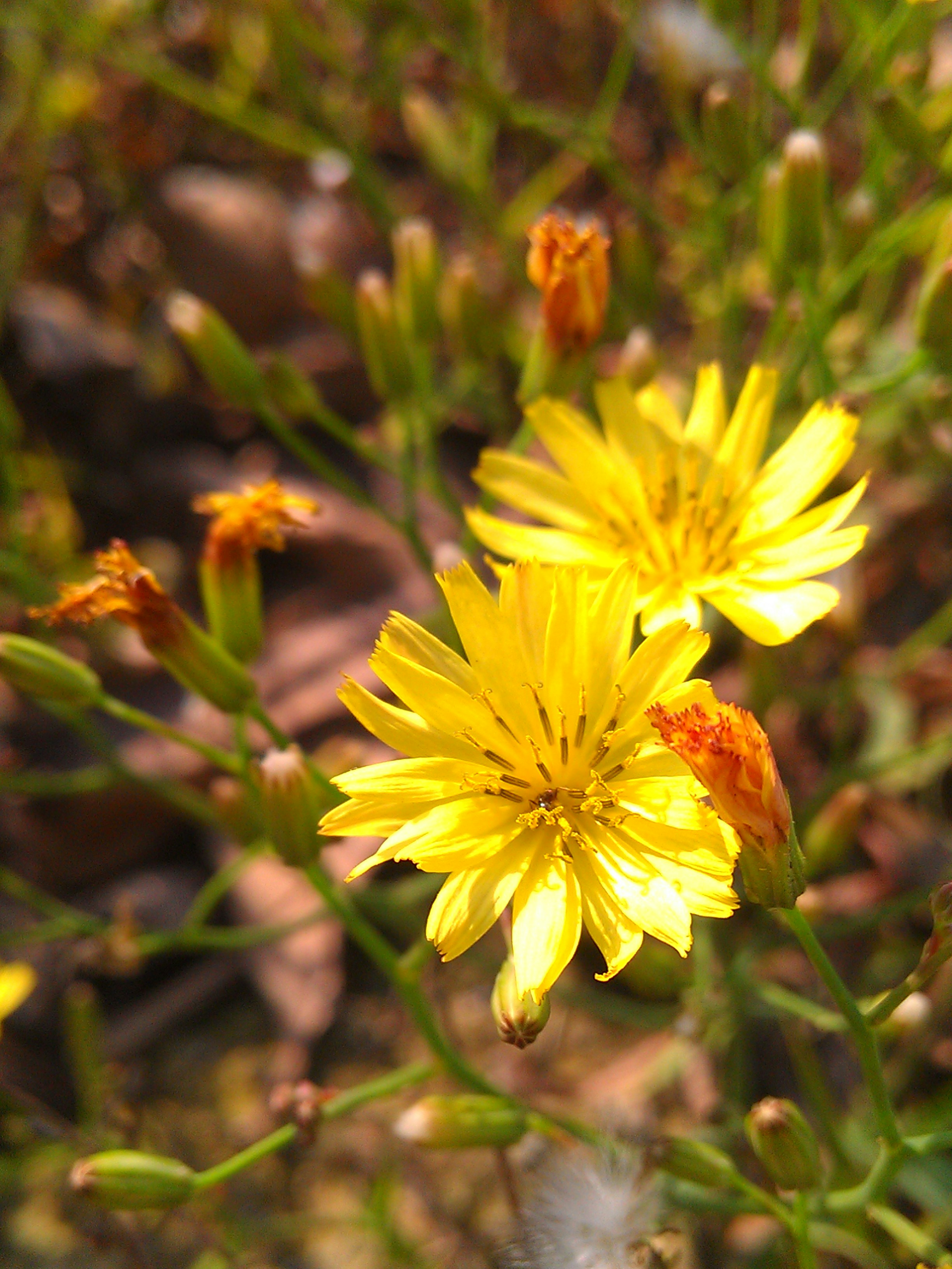 Free Unsplash photo from Peyrong Yang