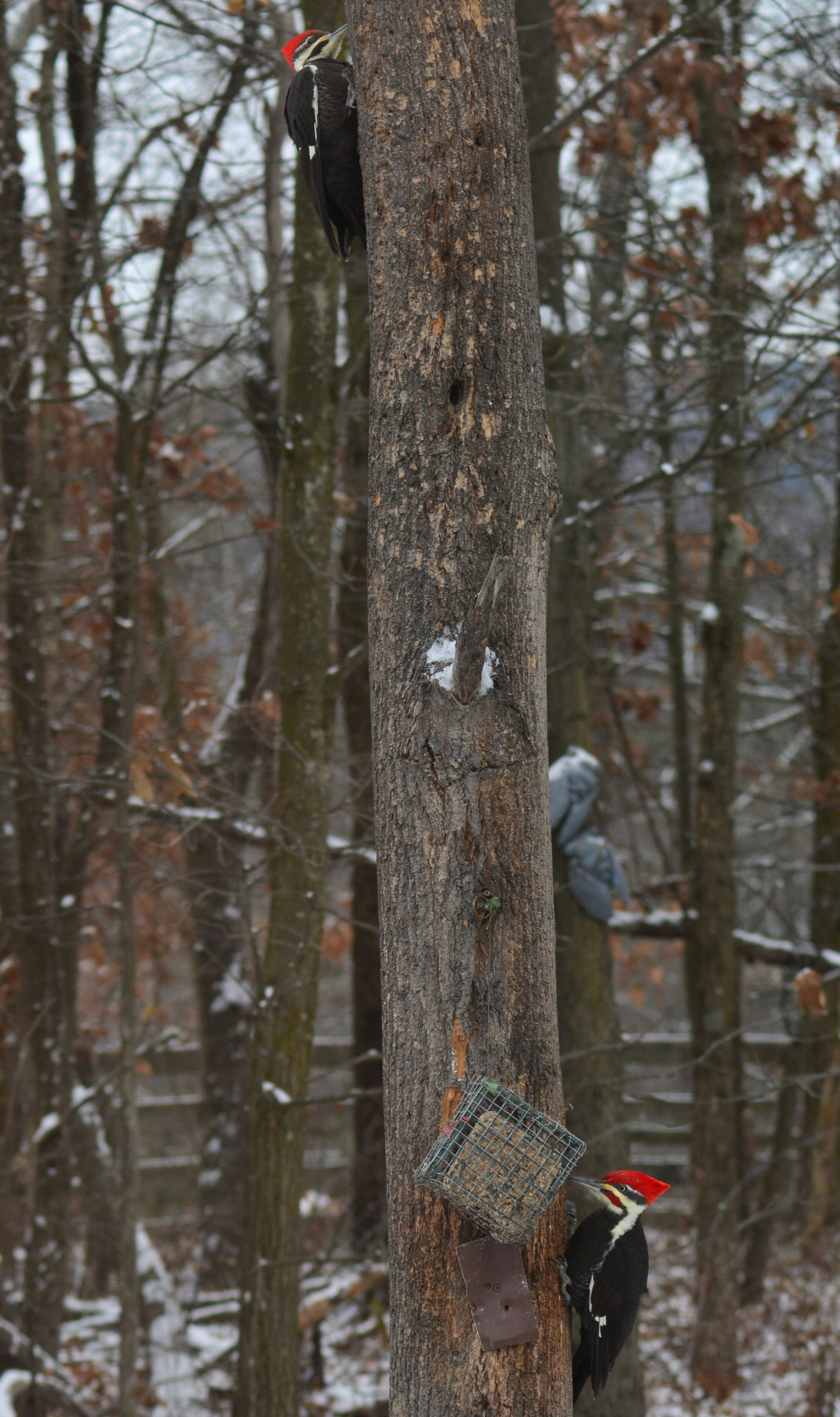 Free Unsplash photo from john bell