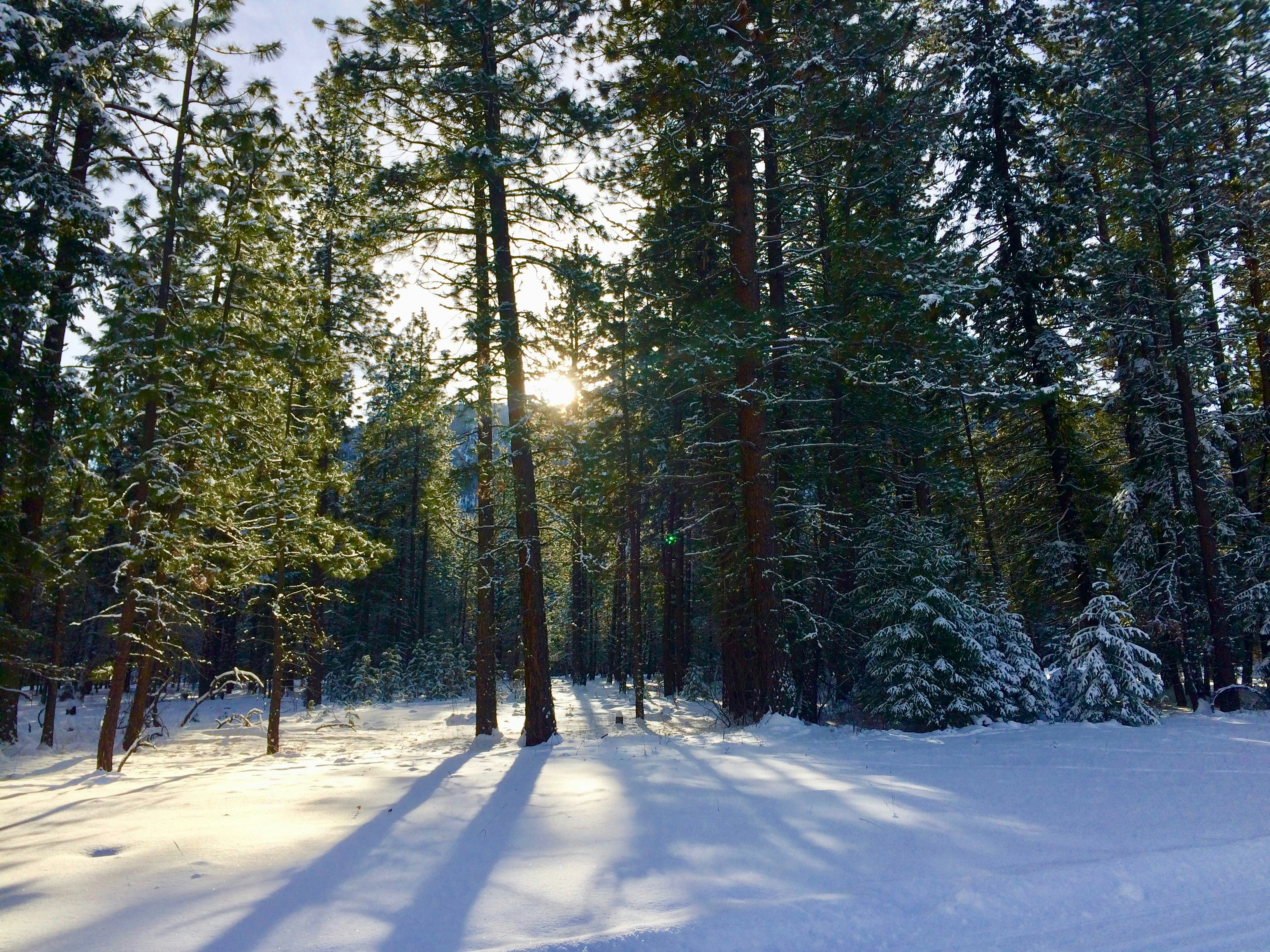 Free Unsplash photo from Tessy