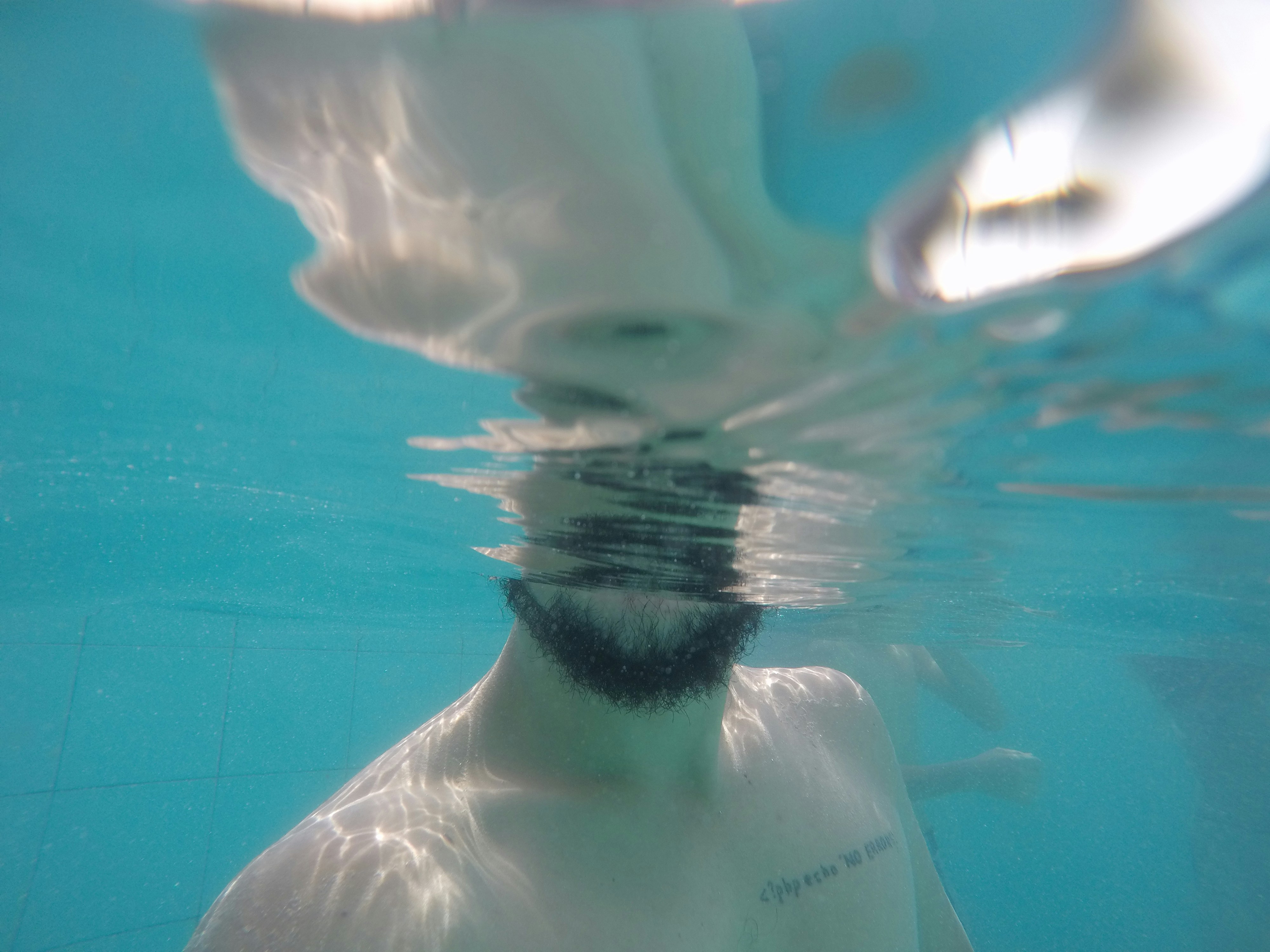 Free Unsplash photo from Mateus Fernandes de Mello