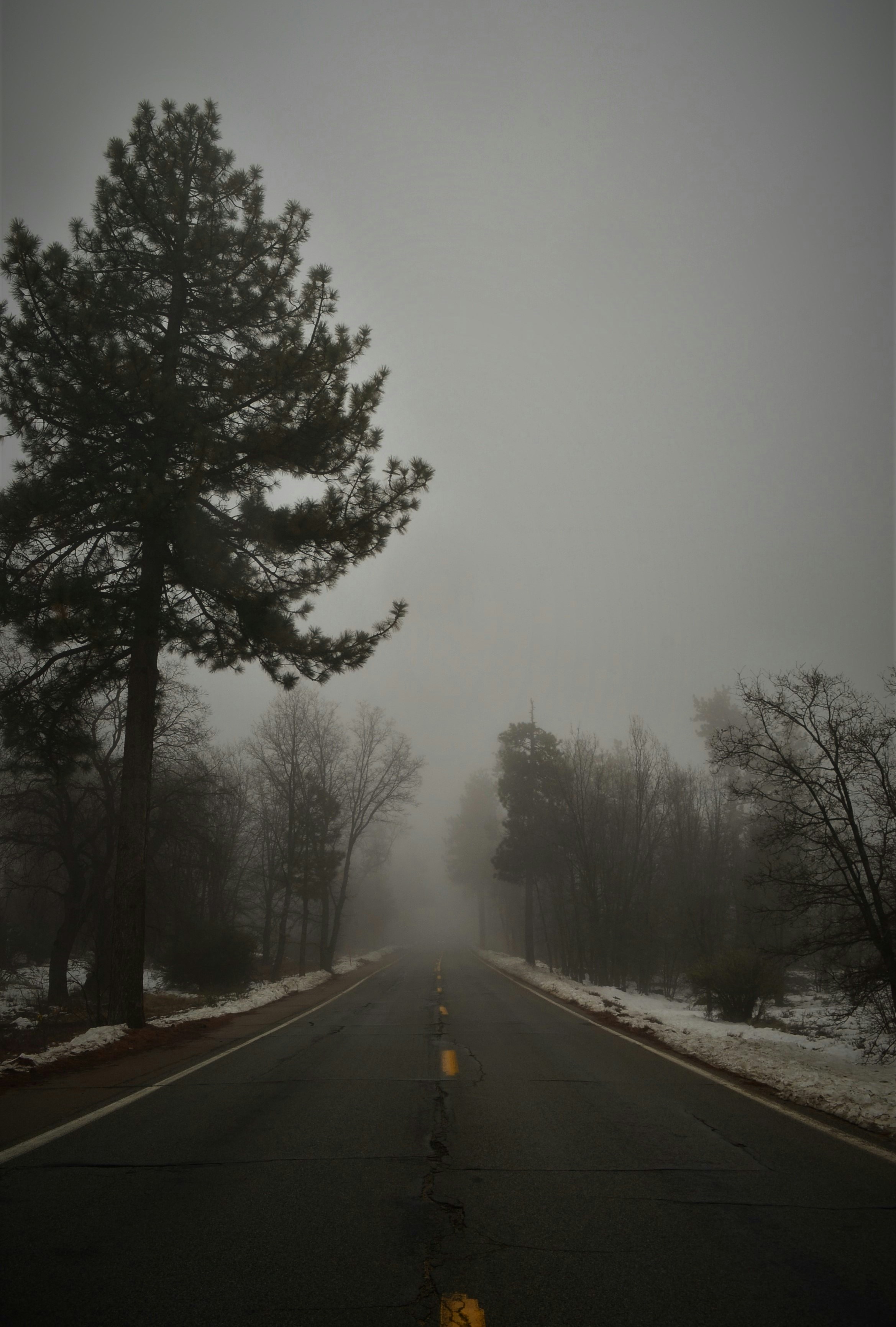 Free Unsplash photo from Kaitlynn Hanson