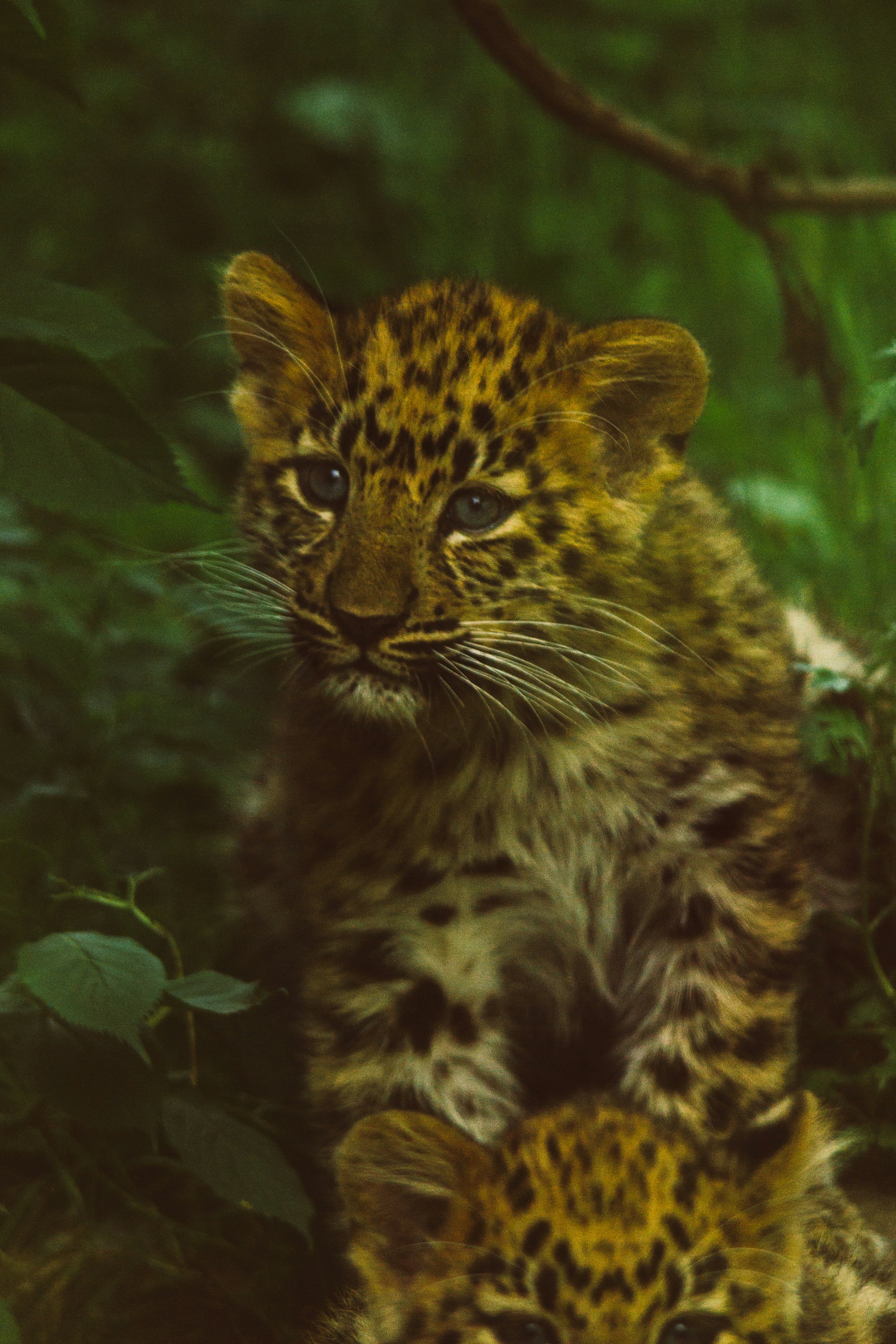 Free Unsplash photo from Frida Bredesen