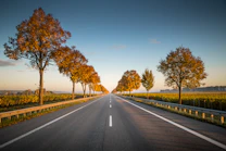 long straight road with trees on the side