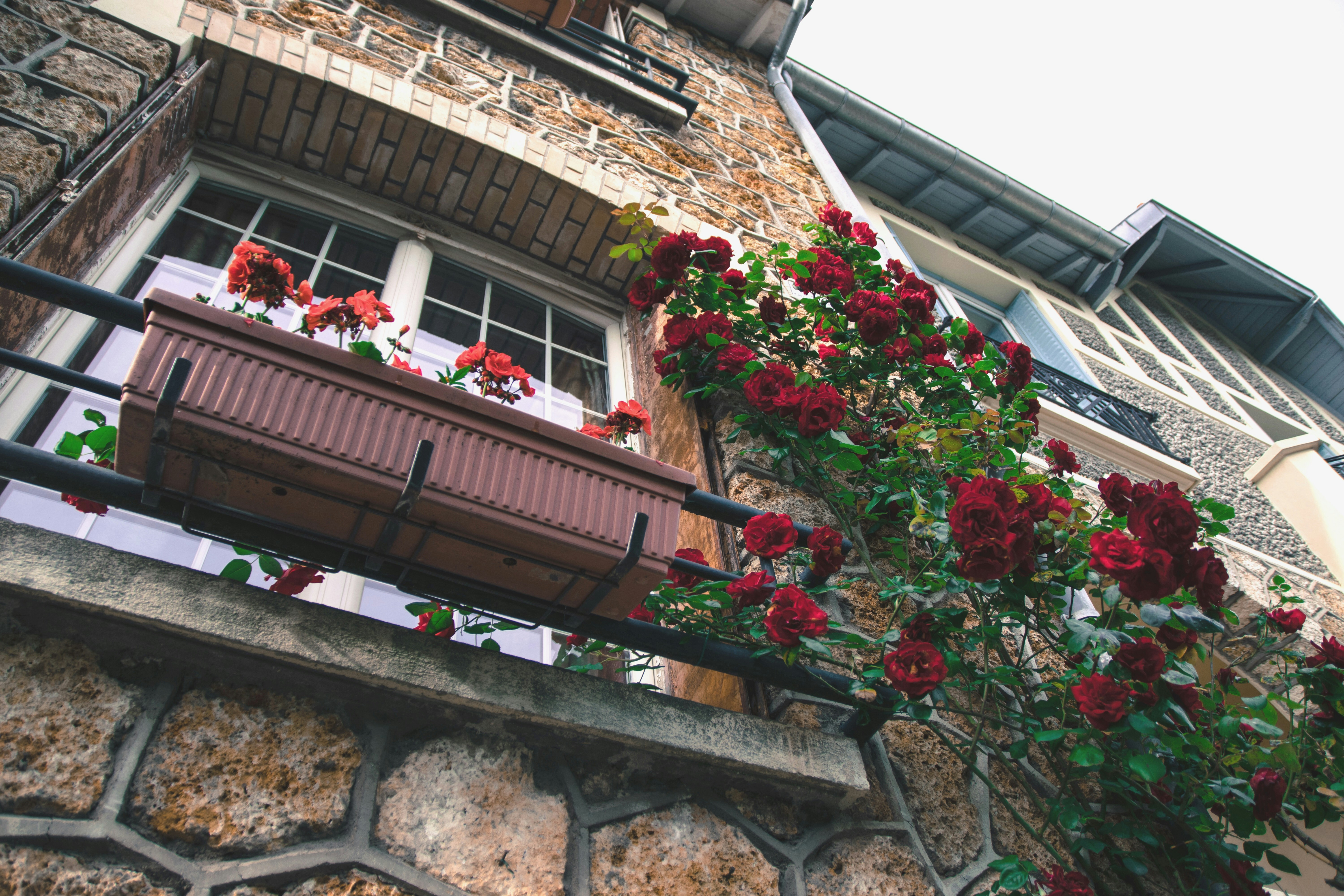 Free Unsplash photo from ke wen