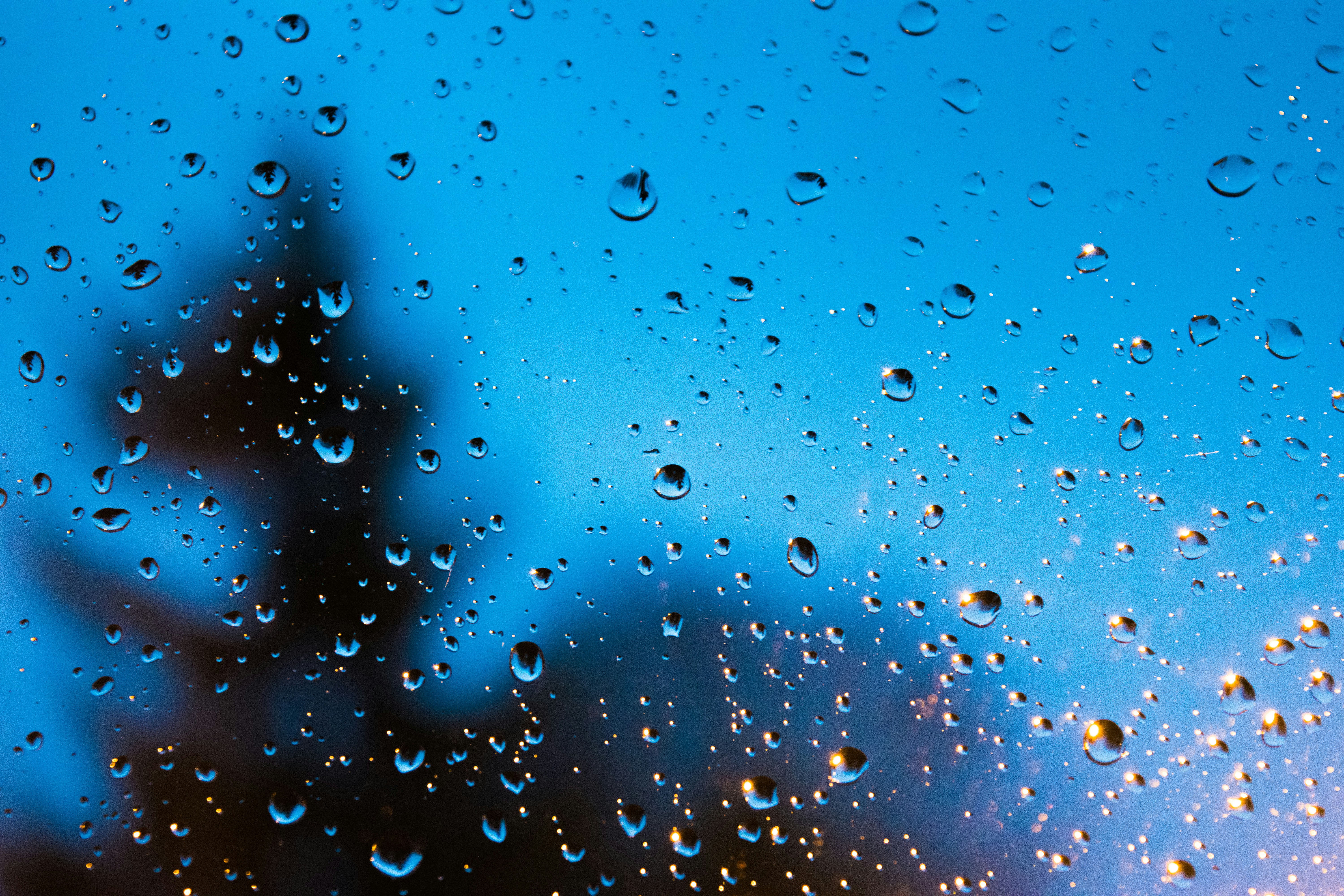 Free Unsplash photo from ke wen