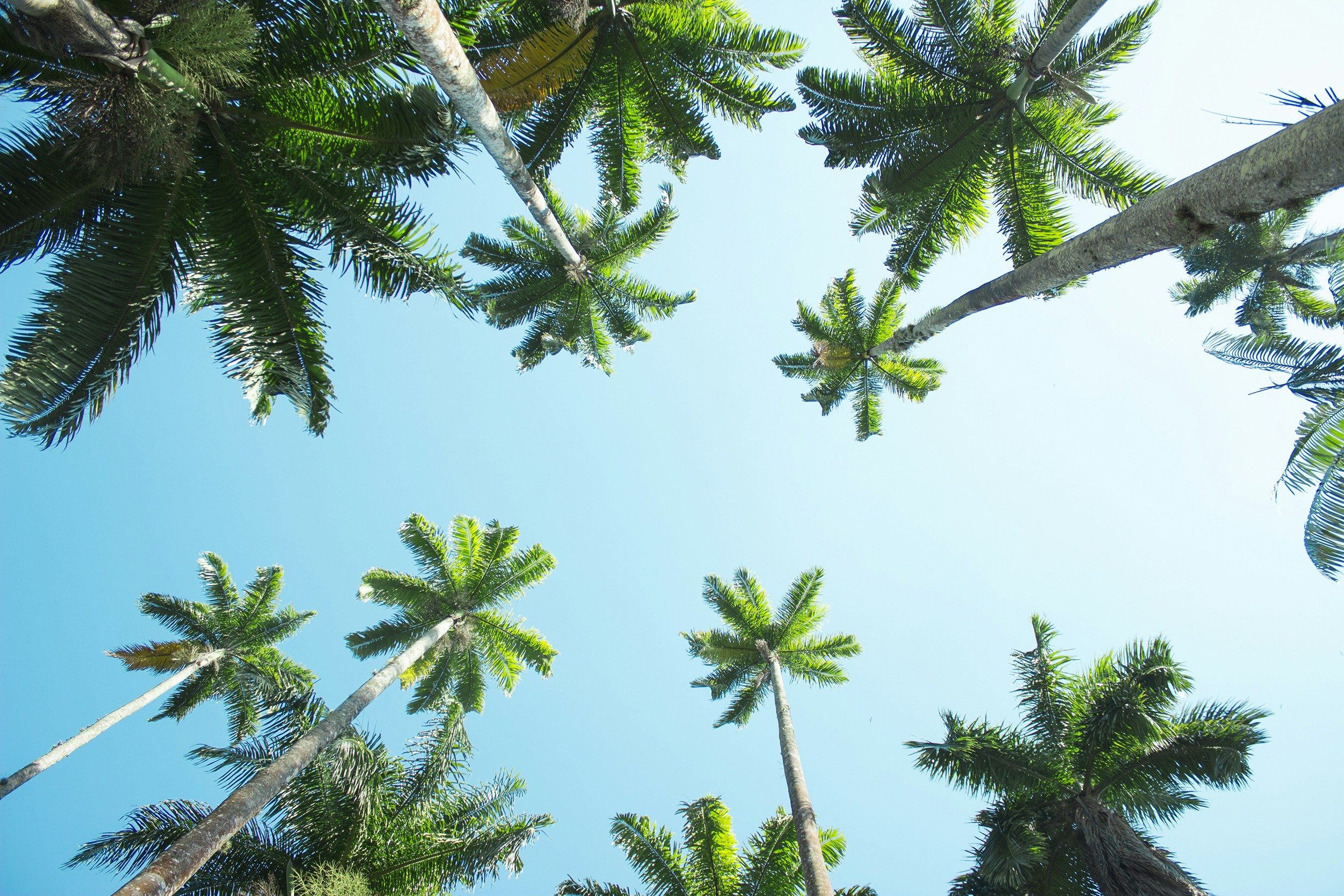 Free Unsplash photo from Sasha Briceño