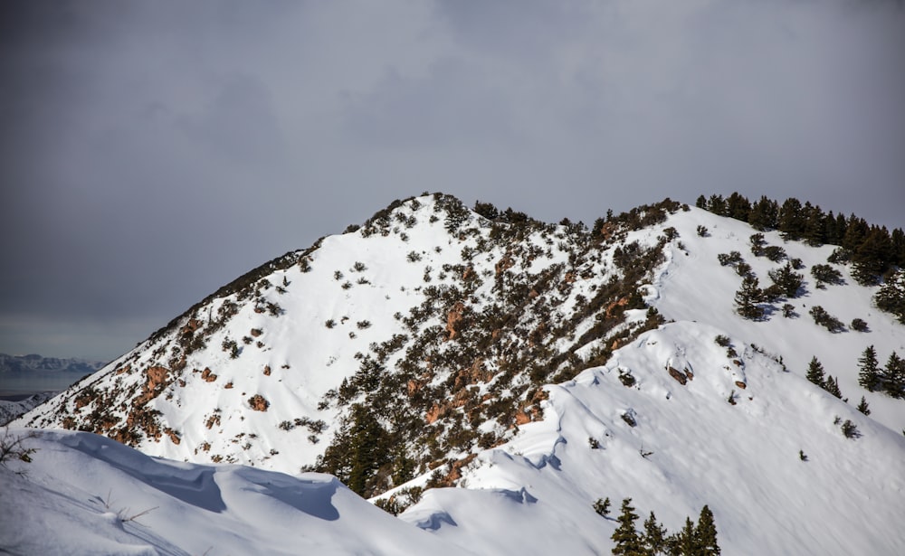 snow-capped mountain and trees under white and blue sky