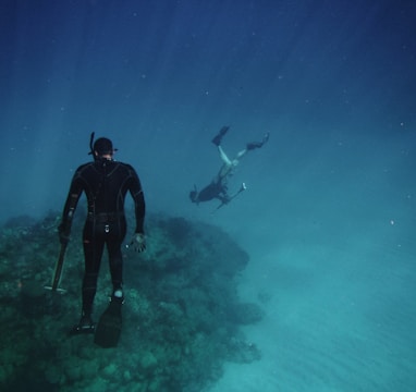 men freediving on coral reefs