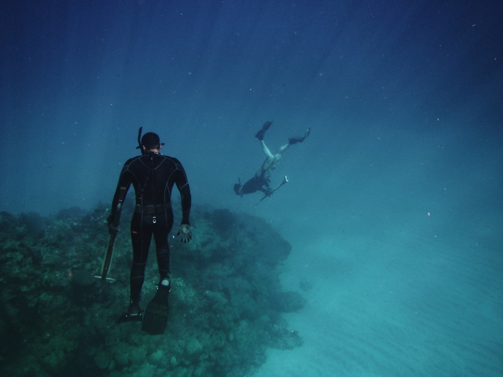 men freediving on coral reefs
