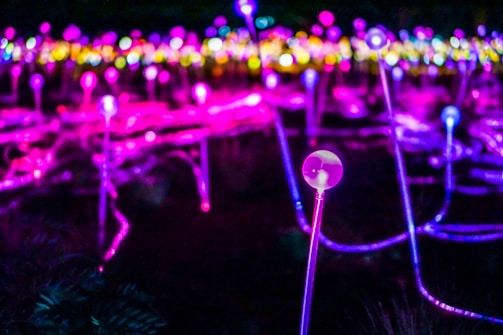 Brightly colored light installations with glowing bulbs on long stems are scattered across a dark background, creating a vibrant and mesmerizing visual effect. The lights are primarily pink, purple, yellow, and blue, giving an impression of a futuristic garden or a light show.