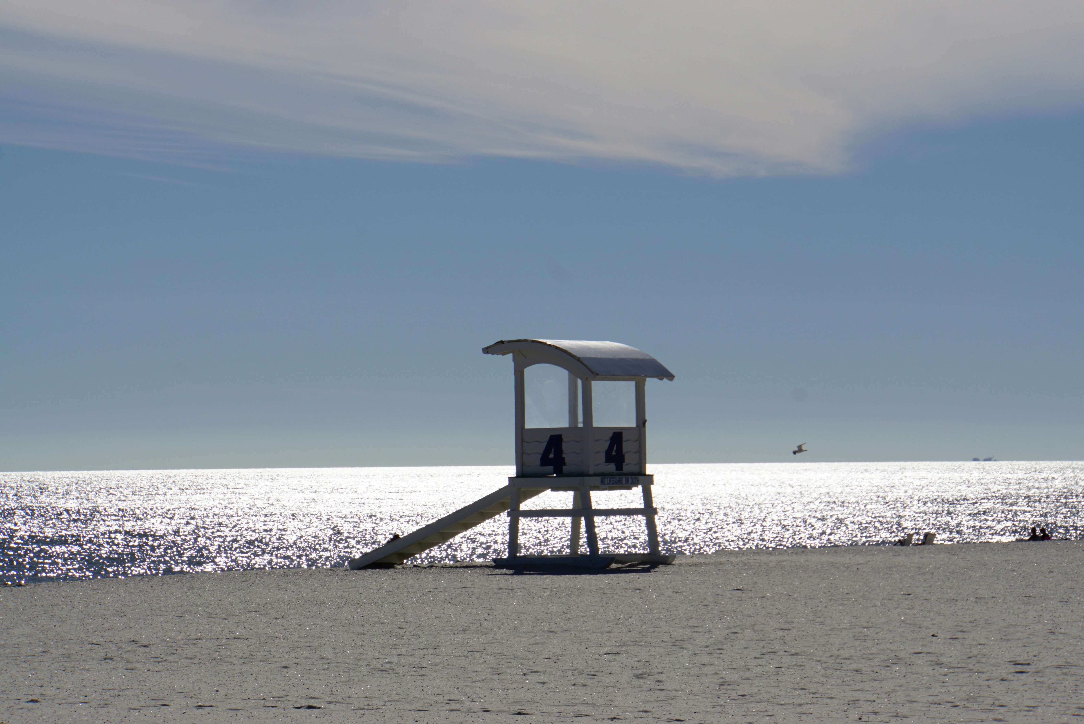 Free Unsplash photo from Cindy Ross