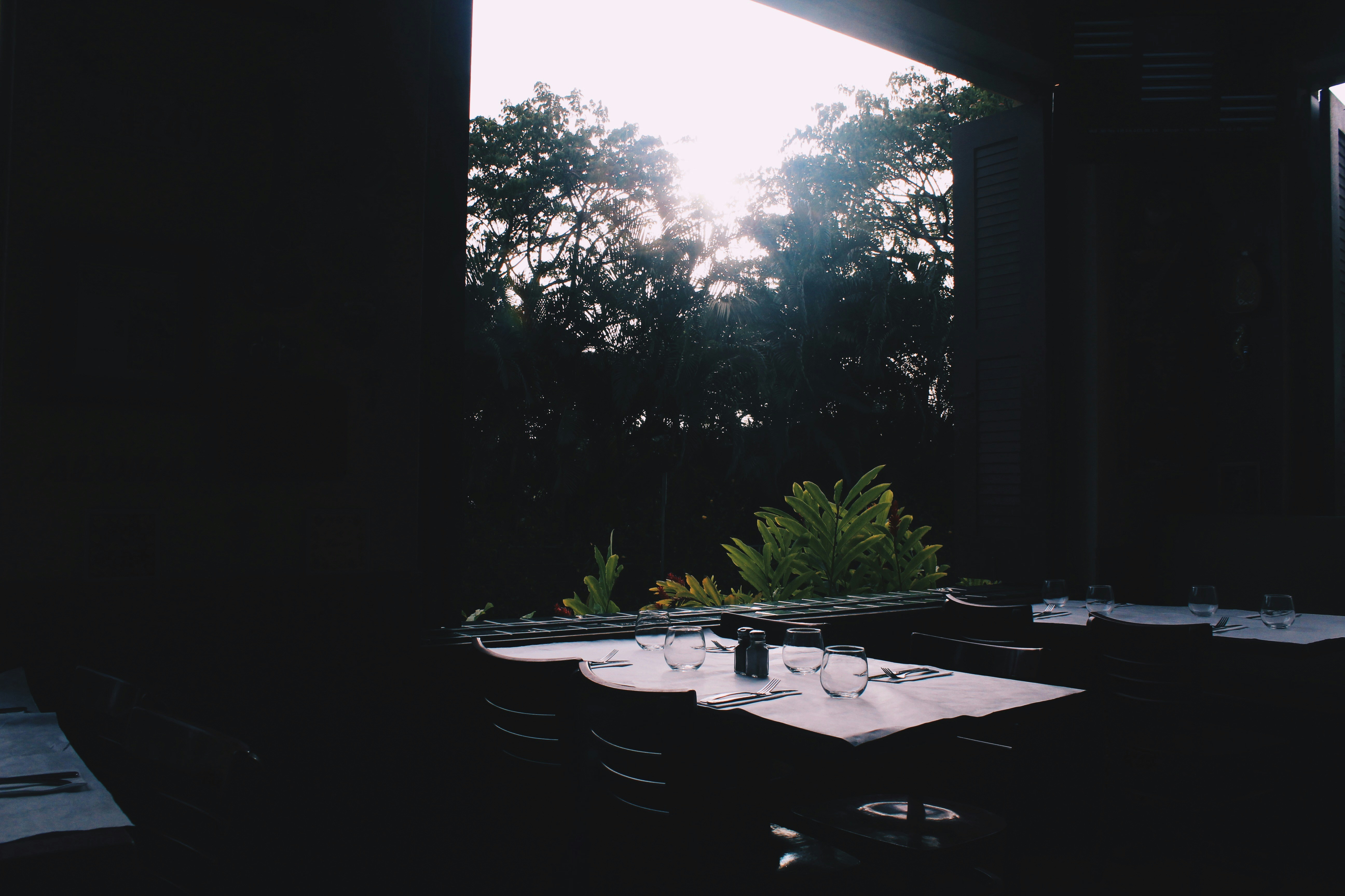 Free Unsplash photo from Halle  Robbins