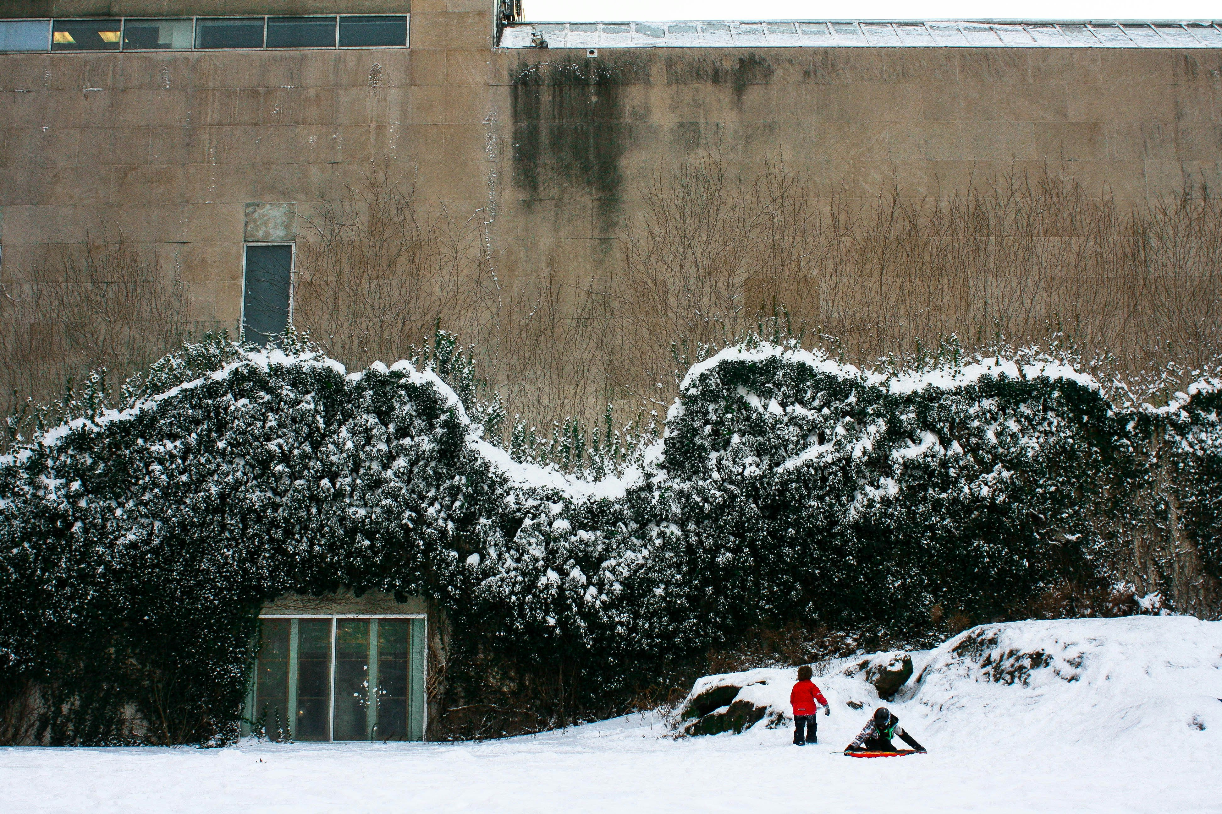 Free Unsplash photo from Will Hewes