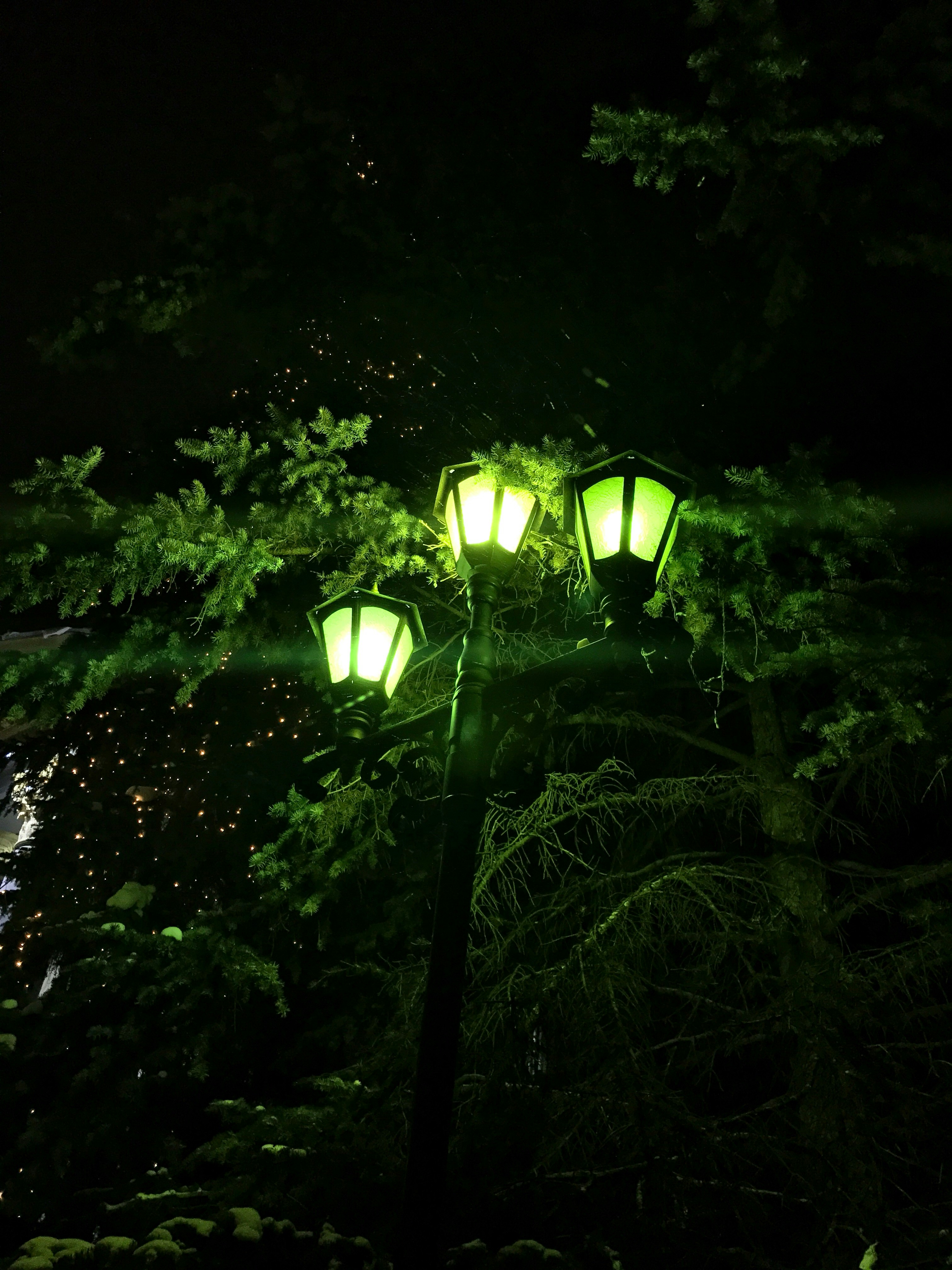 Free Unsplash photo from Dmitriy Shimanov