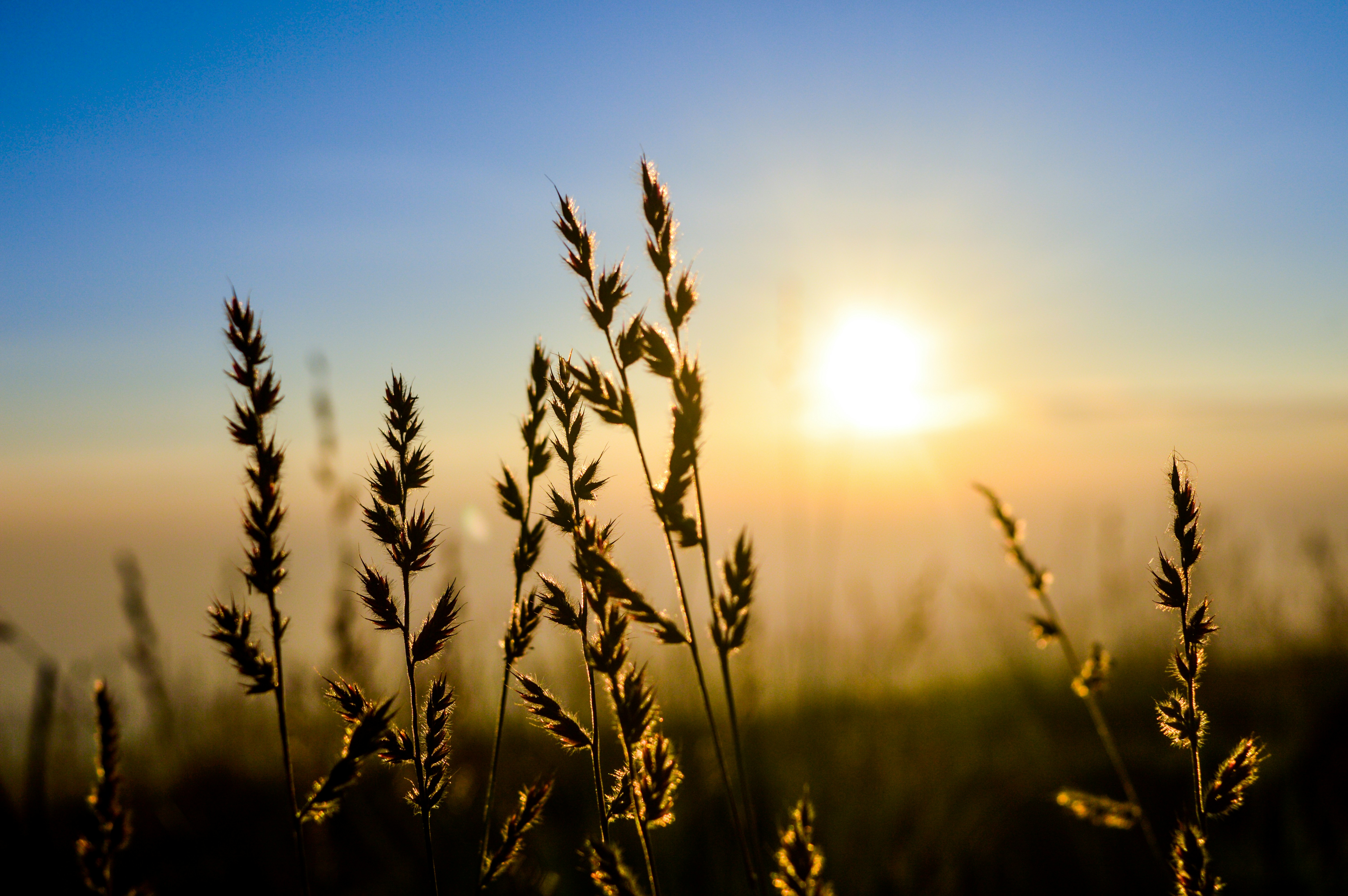 Free Unsplash photo from Warren Manuel