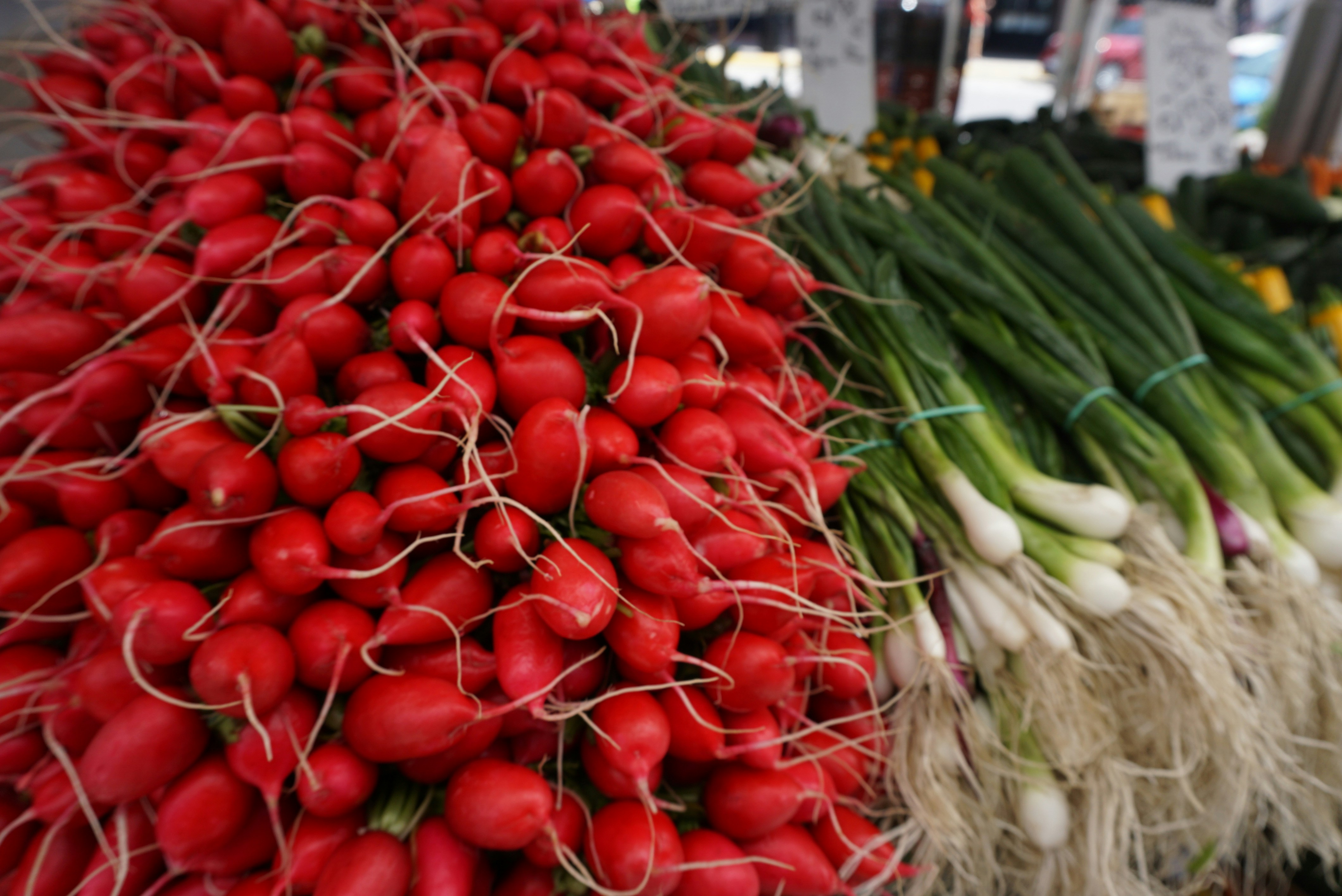 Free Unsplash photo from Monica Juno