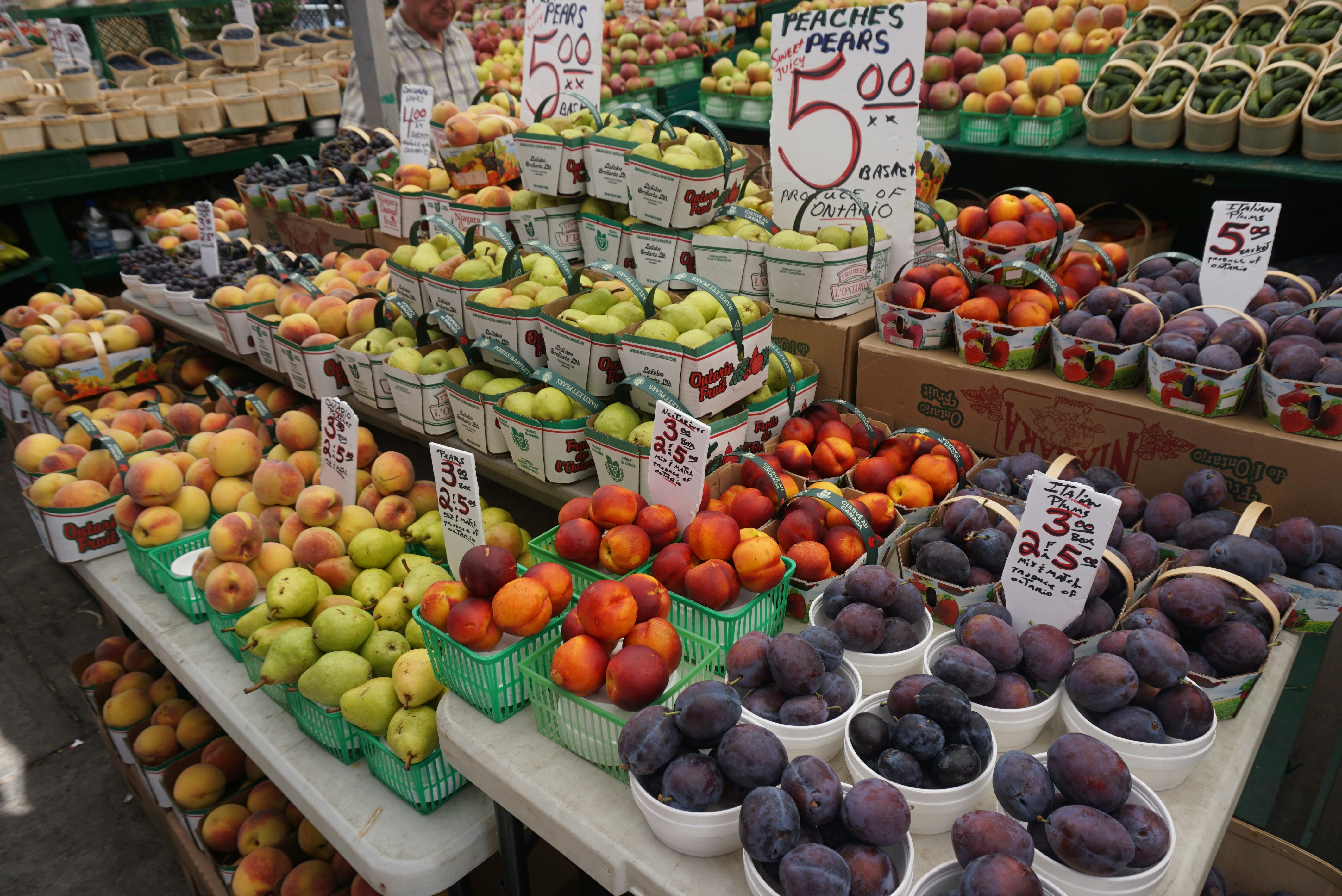 Free Unsplash photo from Monica Juno