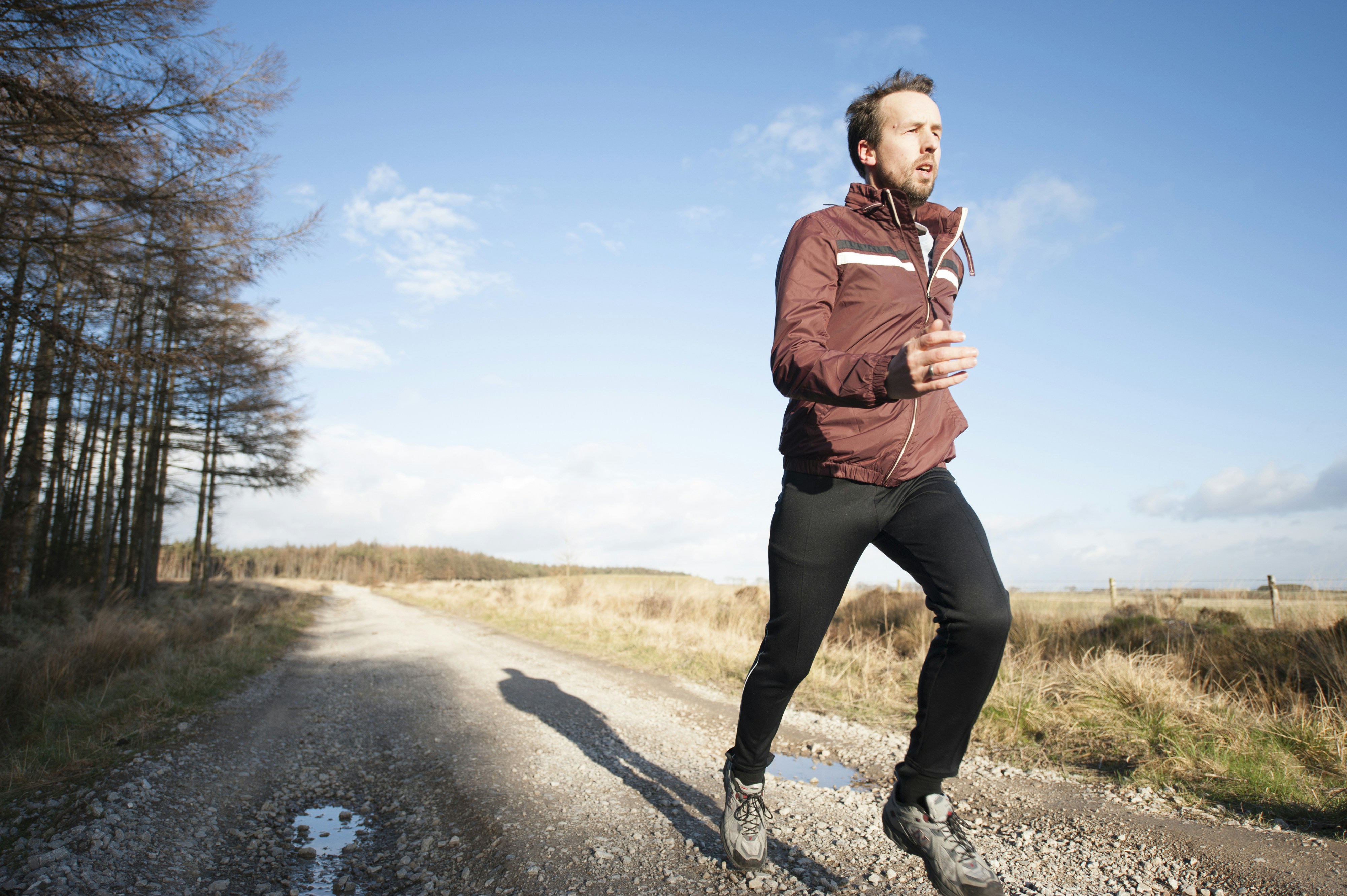 Oxalates And Hormonal Health: The Role Of Exercise