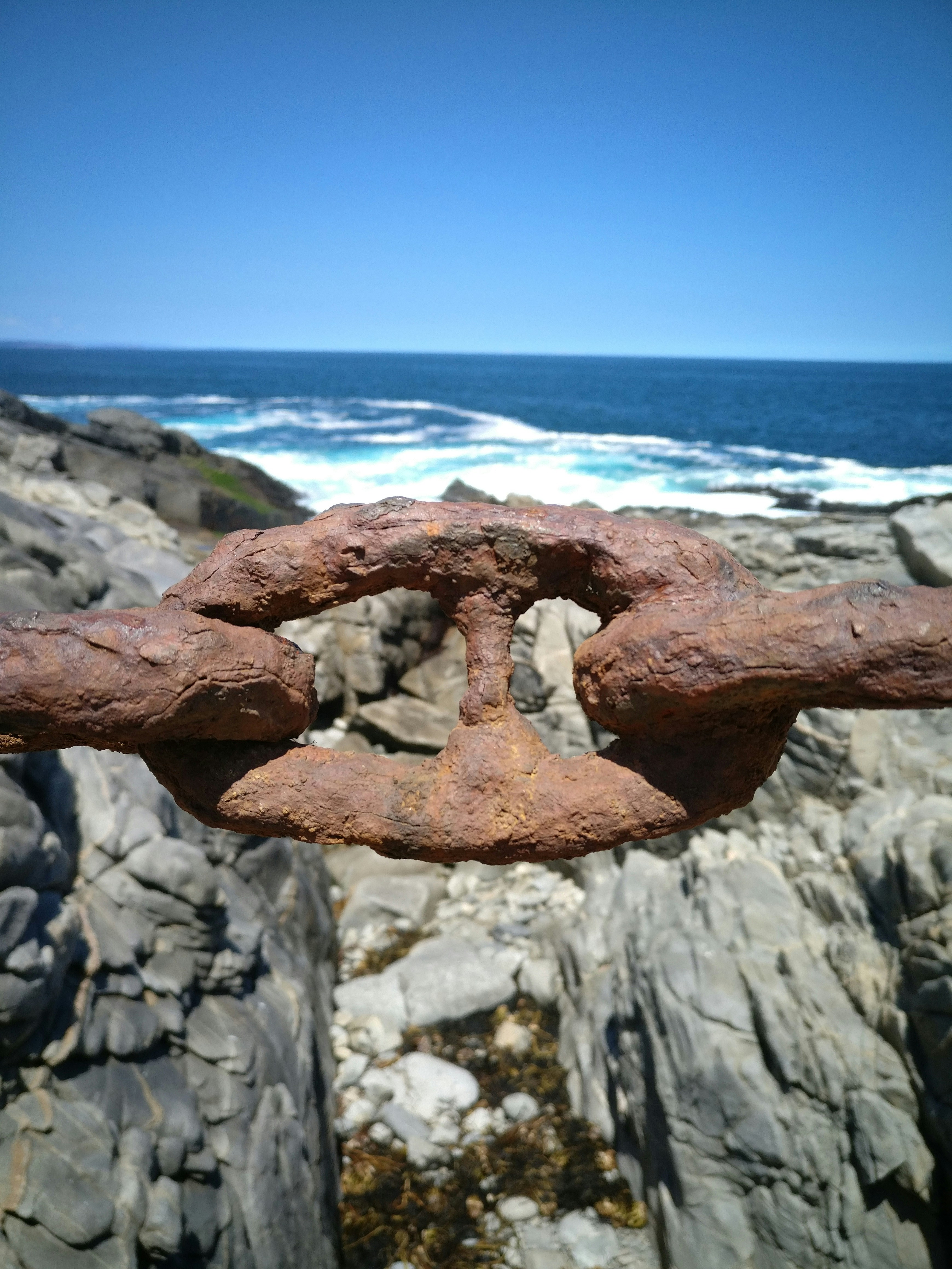 Free Unsplash photo from M R