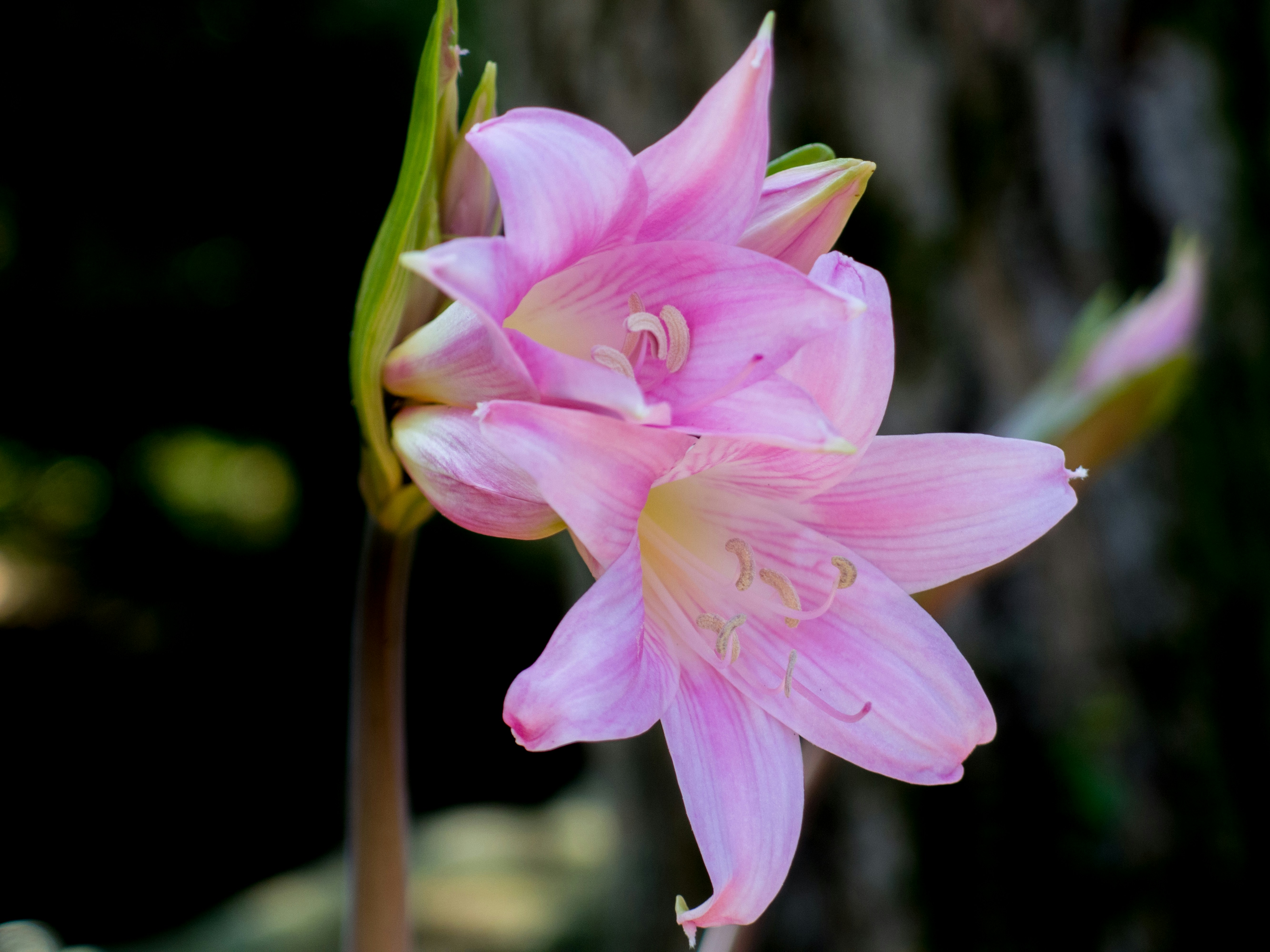 Free Unsplash photo from Mathias Weber