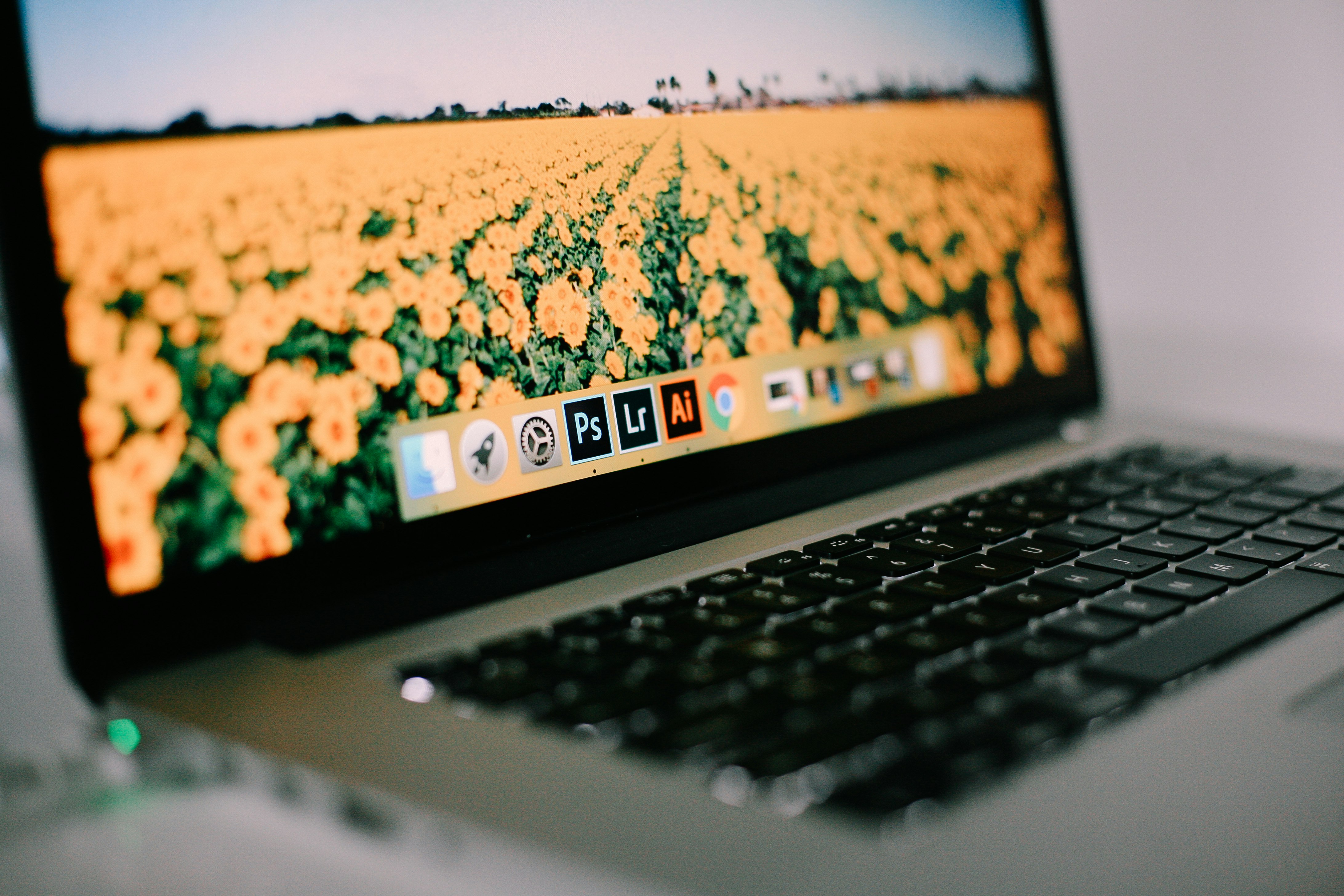 photoshop 2018 mac glitches
