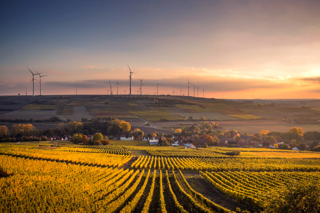 Wind turbine towers at dusk