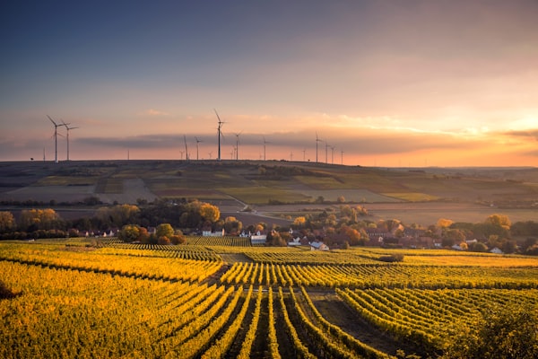 sunset landscape photograph of a lively town community