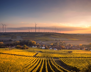 structural shot of wind mills during daytime