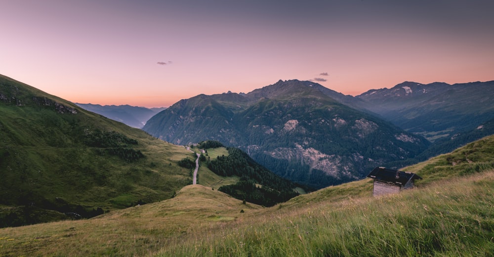 Vue aérienne d’un champ d’herbe verte