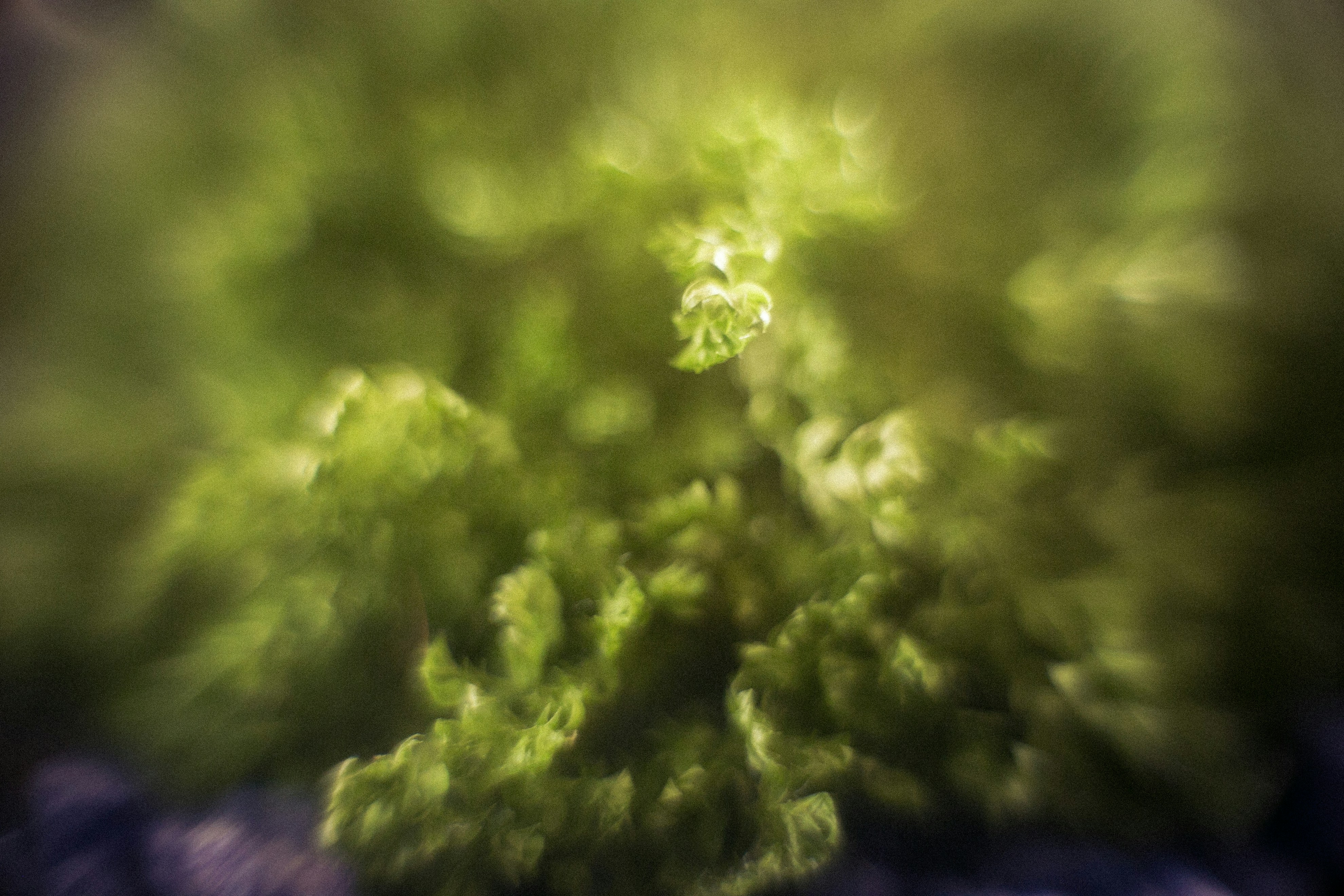 Free Unsplash photo from Mathias Elmose