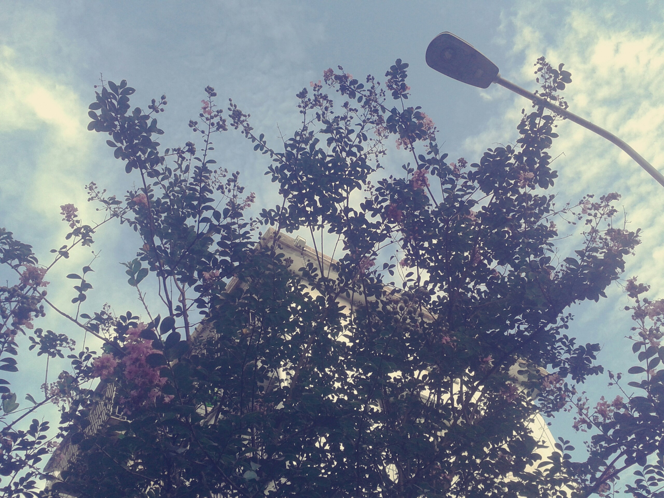 Free Unsplash photo from Esther  Brown