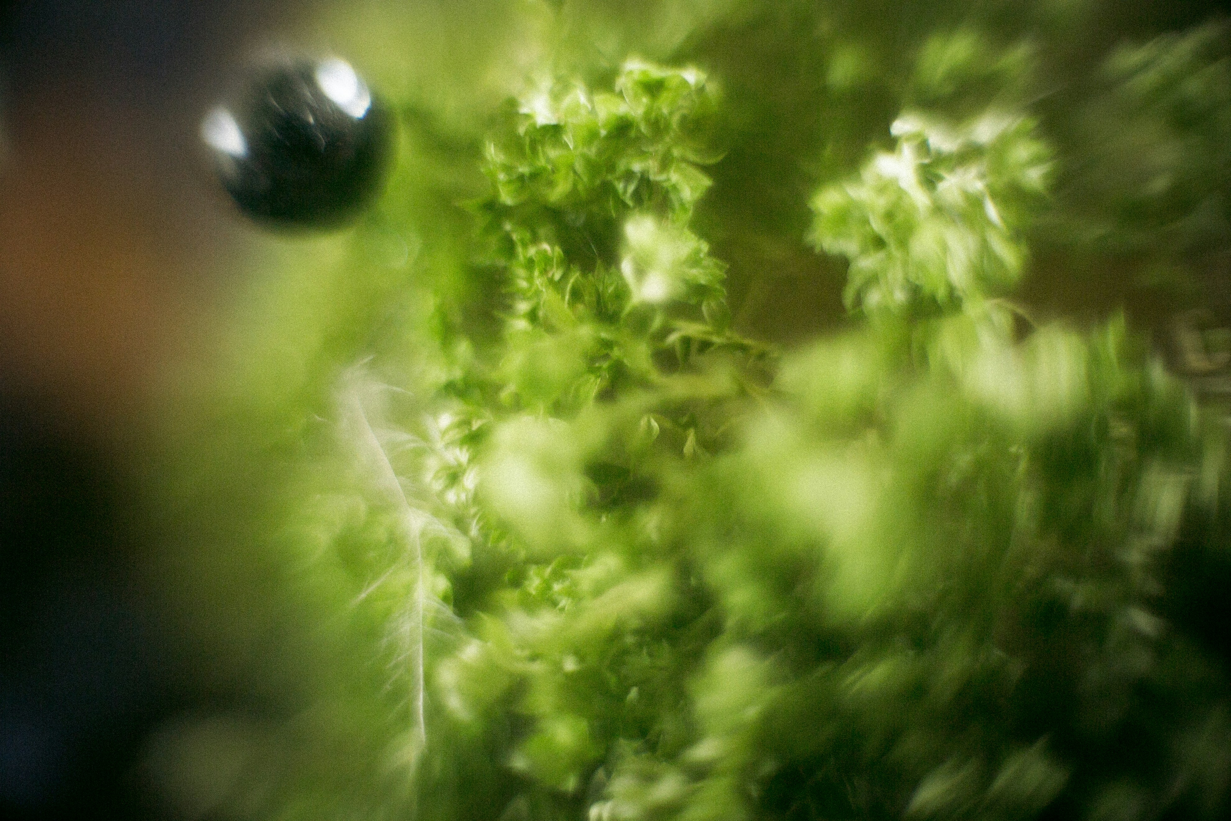 Free Unsplash photo from Mathias Elmose