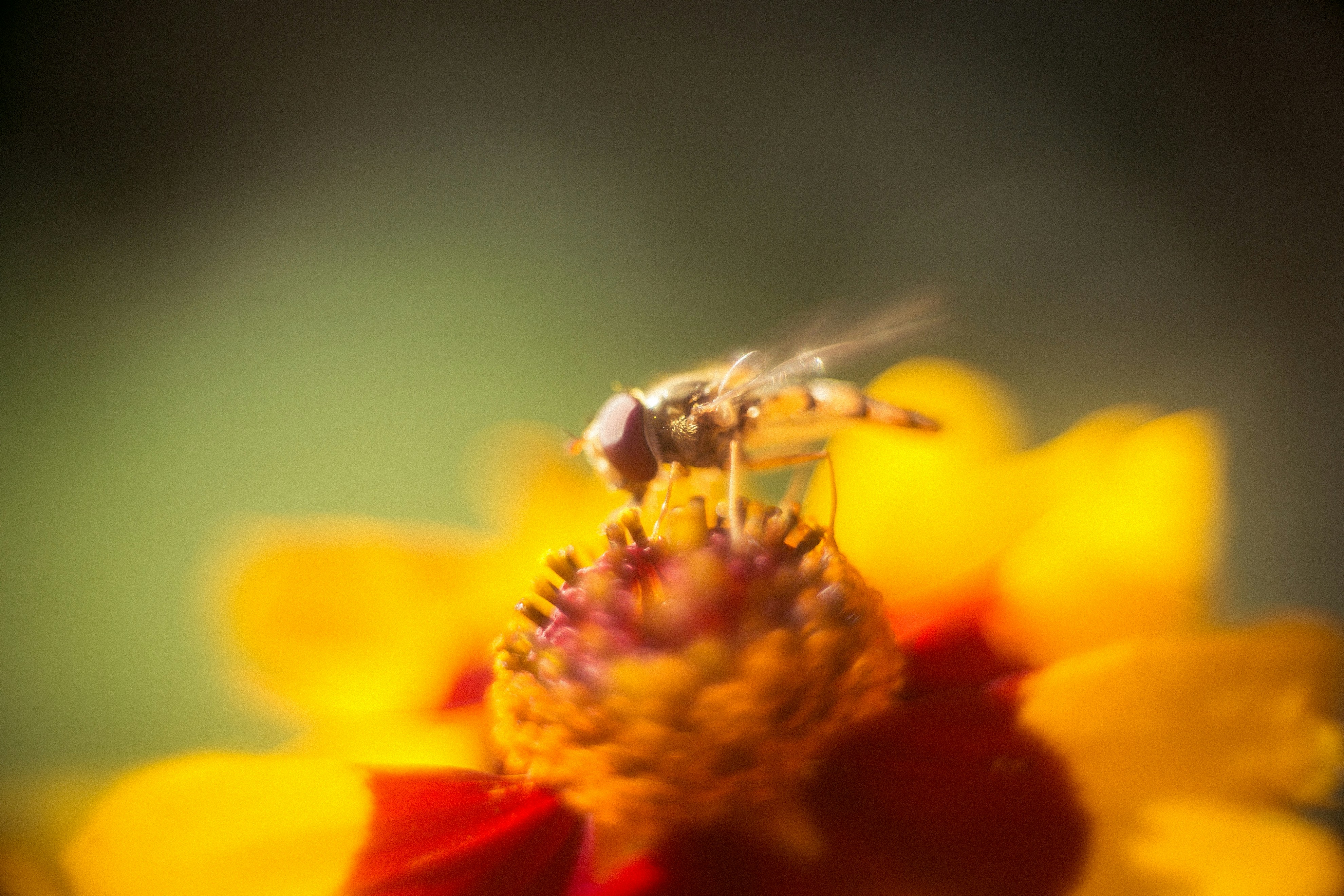 Free Unsplash photo from Mathias Elmose